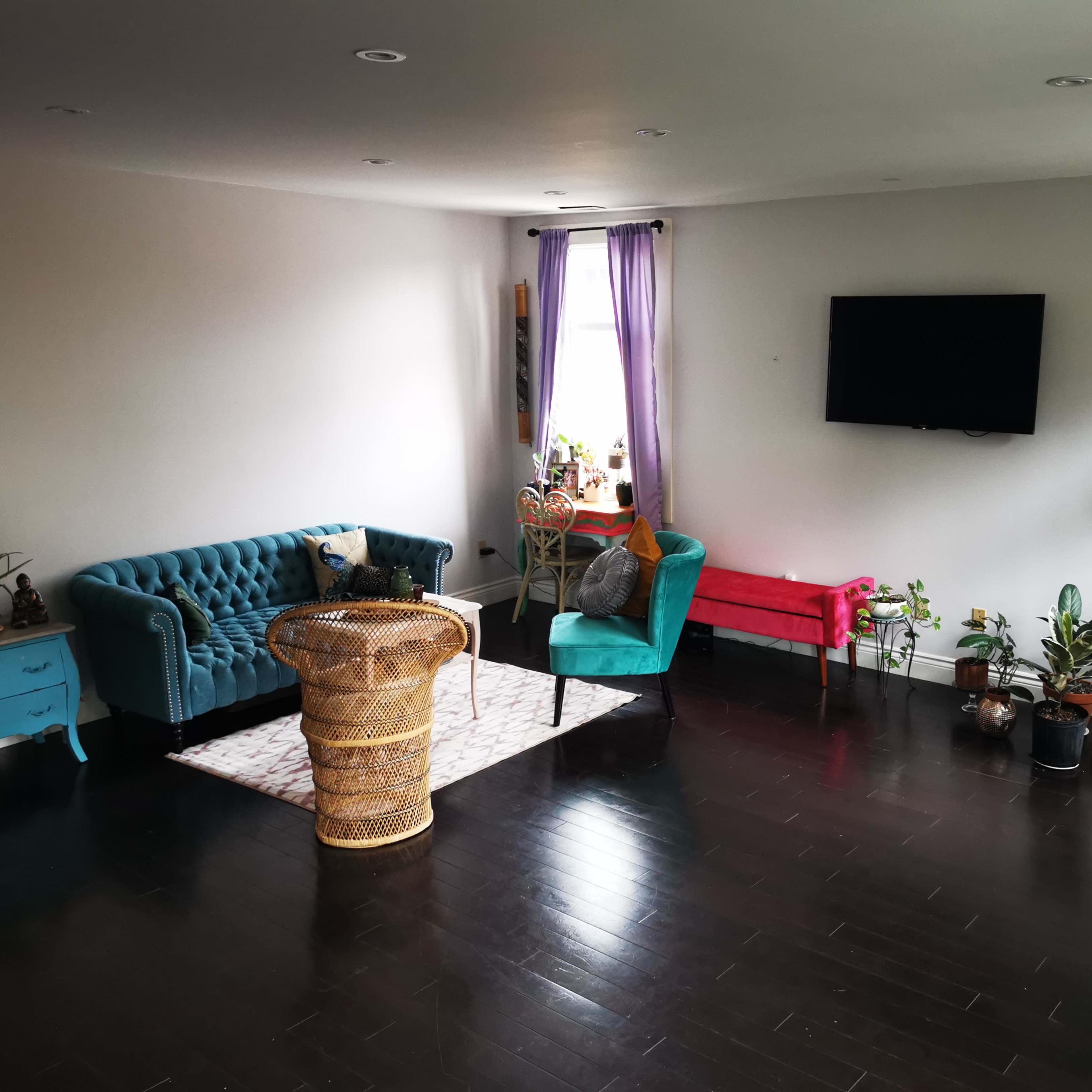 A spacious living room features a teal couch, a bright pink bench, a round wicker chair, and various potted plants on dark wood flooring.