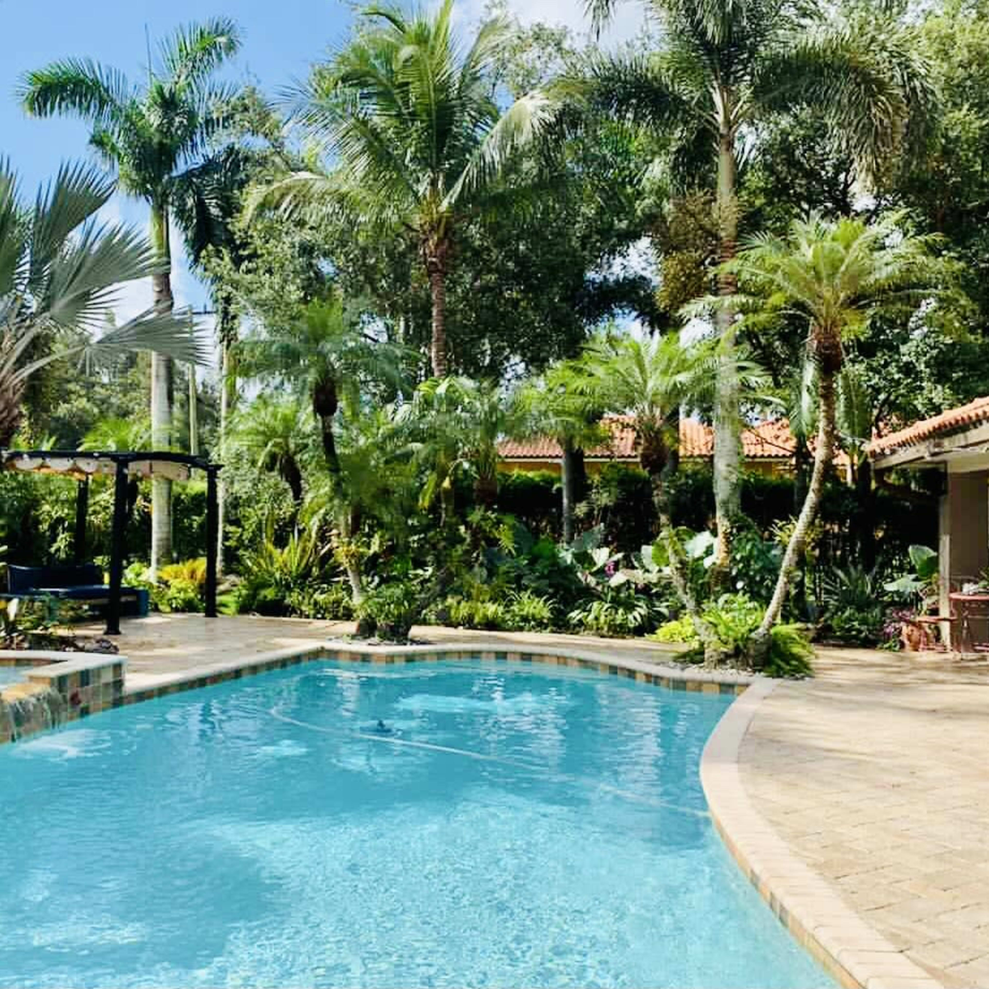 A backyard pool surrounded by tropical plants and palm trees.