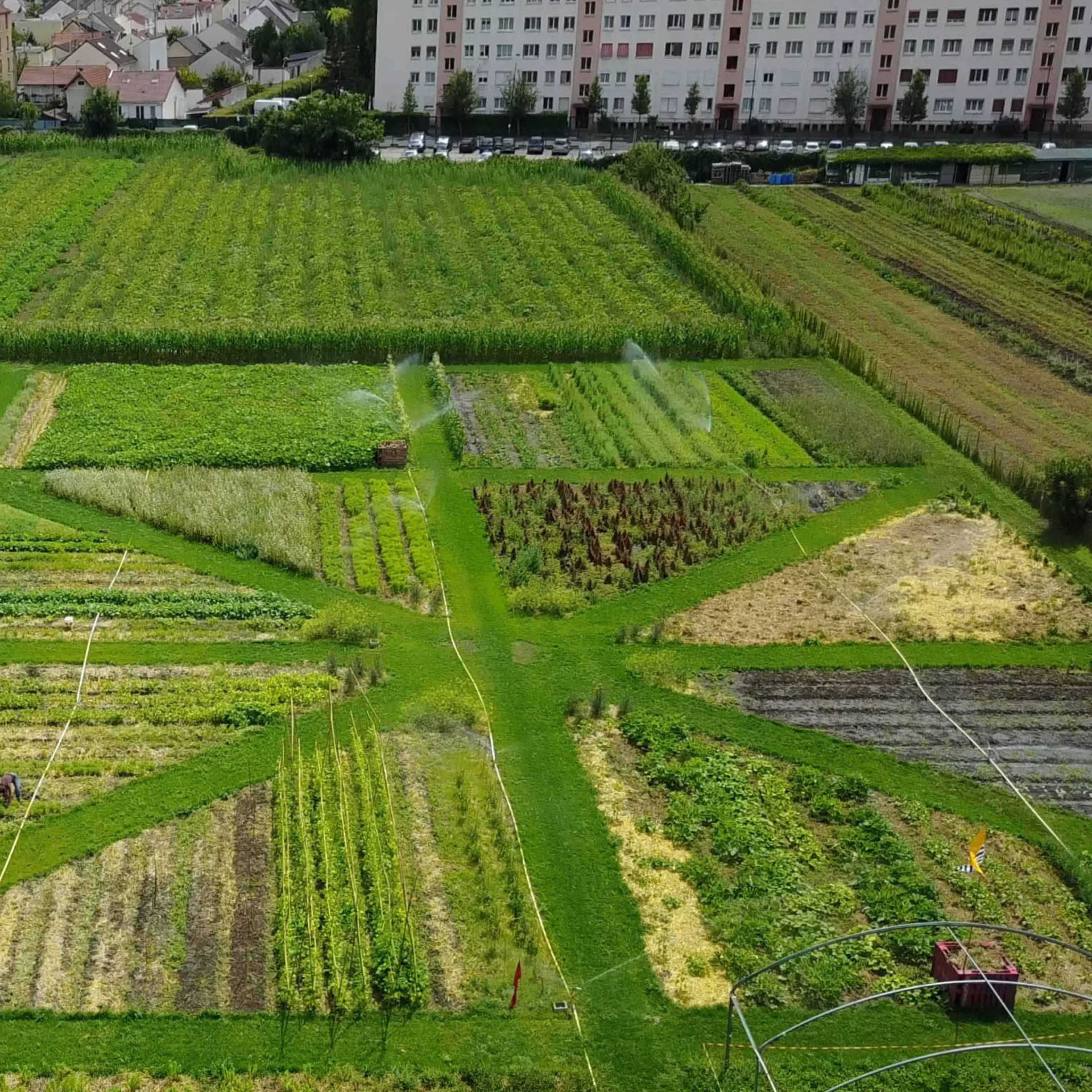lieu urbain, ferme urbaine, permaculture, serre Image dans , Saint-Denis, Île-de-France