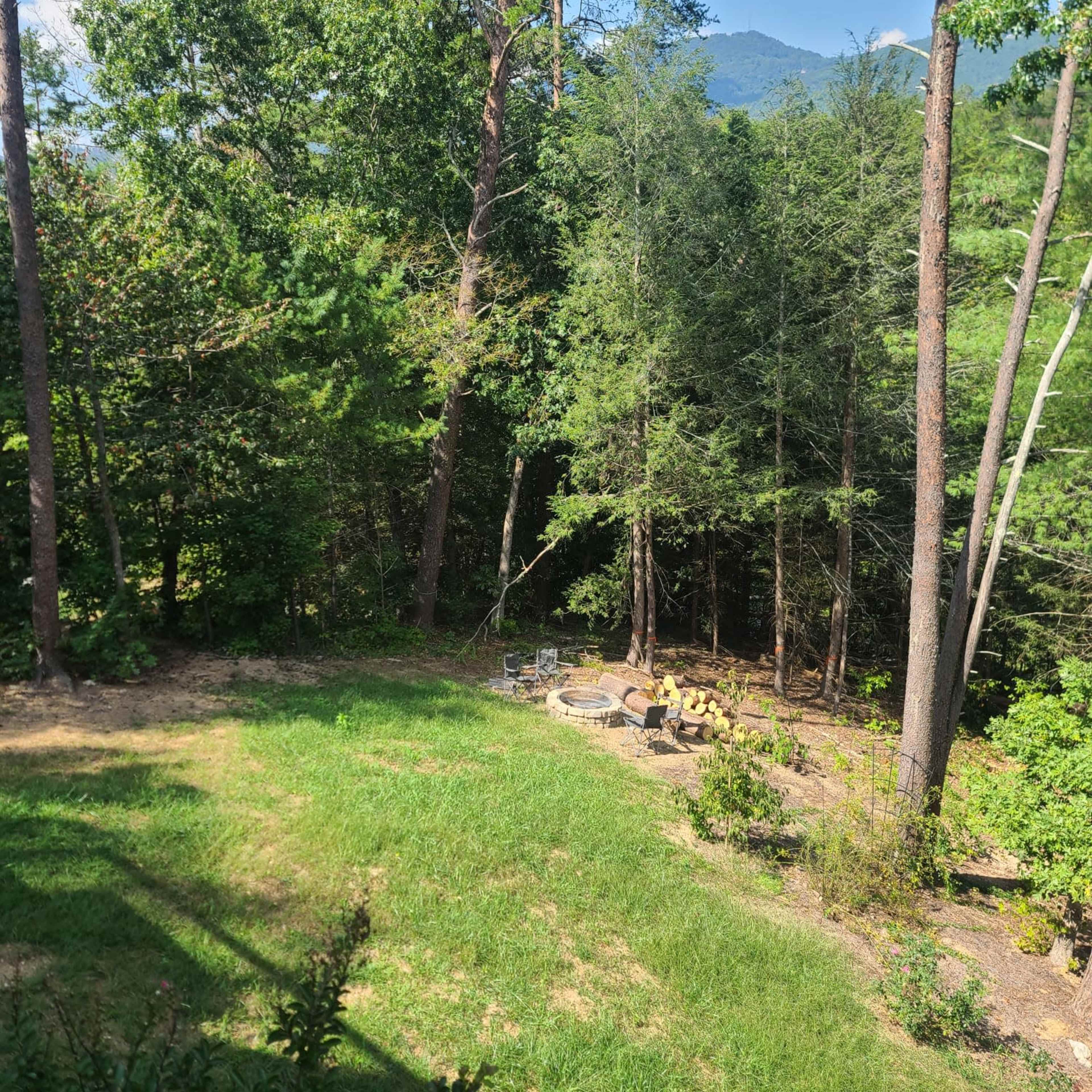 A grassy area surrounded by tall trees, with a stone fire pit at the edge of a wooded area.
