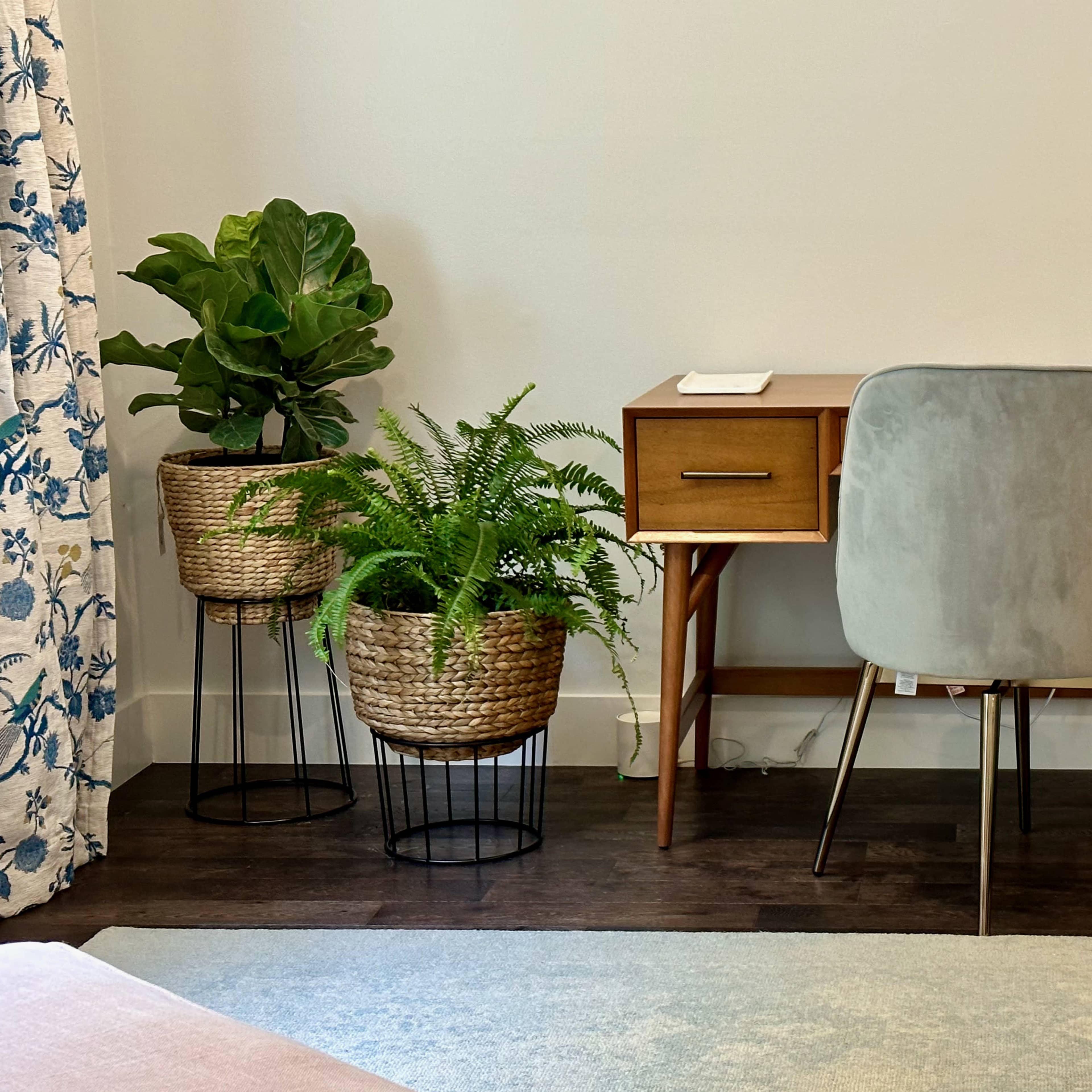A wooden desk with two drawers and a lamp is positioned against a wall, surrounded by potted plants in woven baskets.