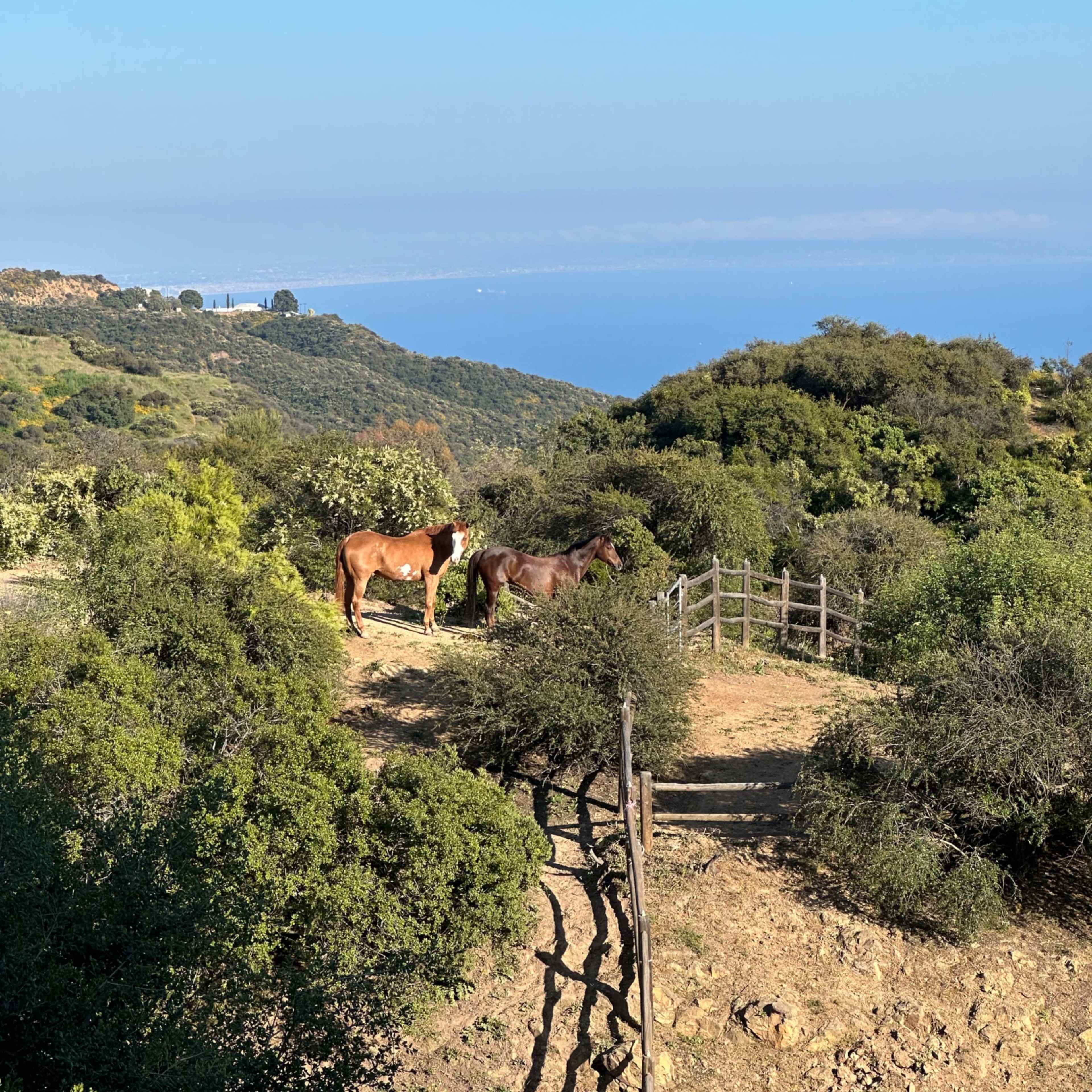 Topanga Western Ranch Retreat with Panoramic Ocean Views Image in Topanga, Topanga, CA