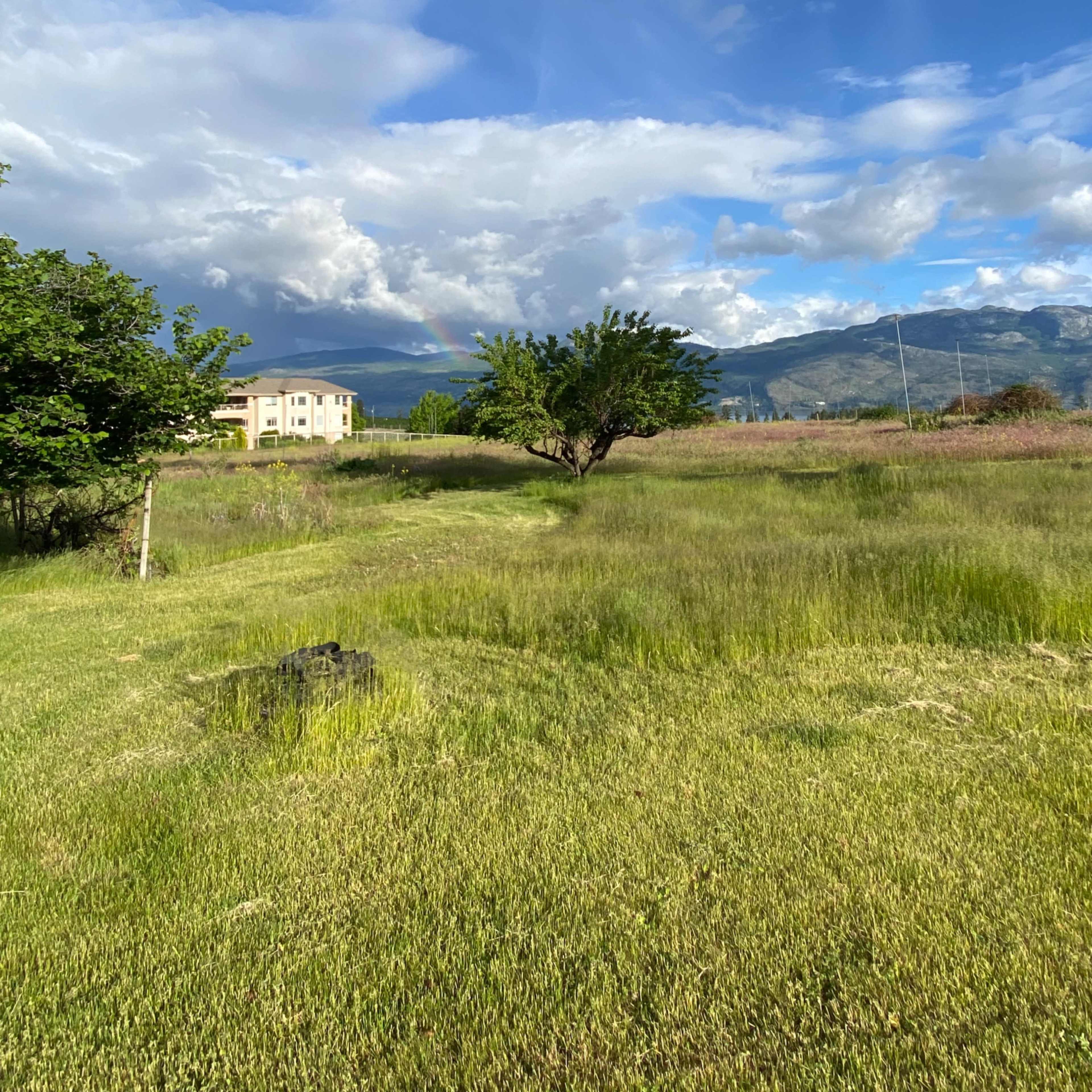A grassy field stretches toward a distant tree and a building, with clouds and a rainbow visible in the sky.