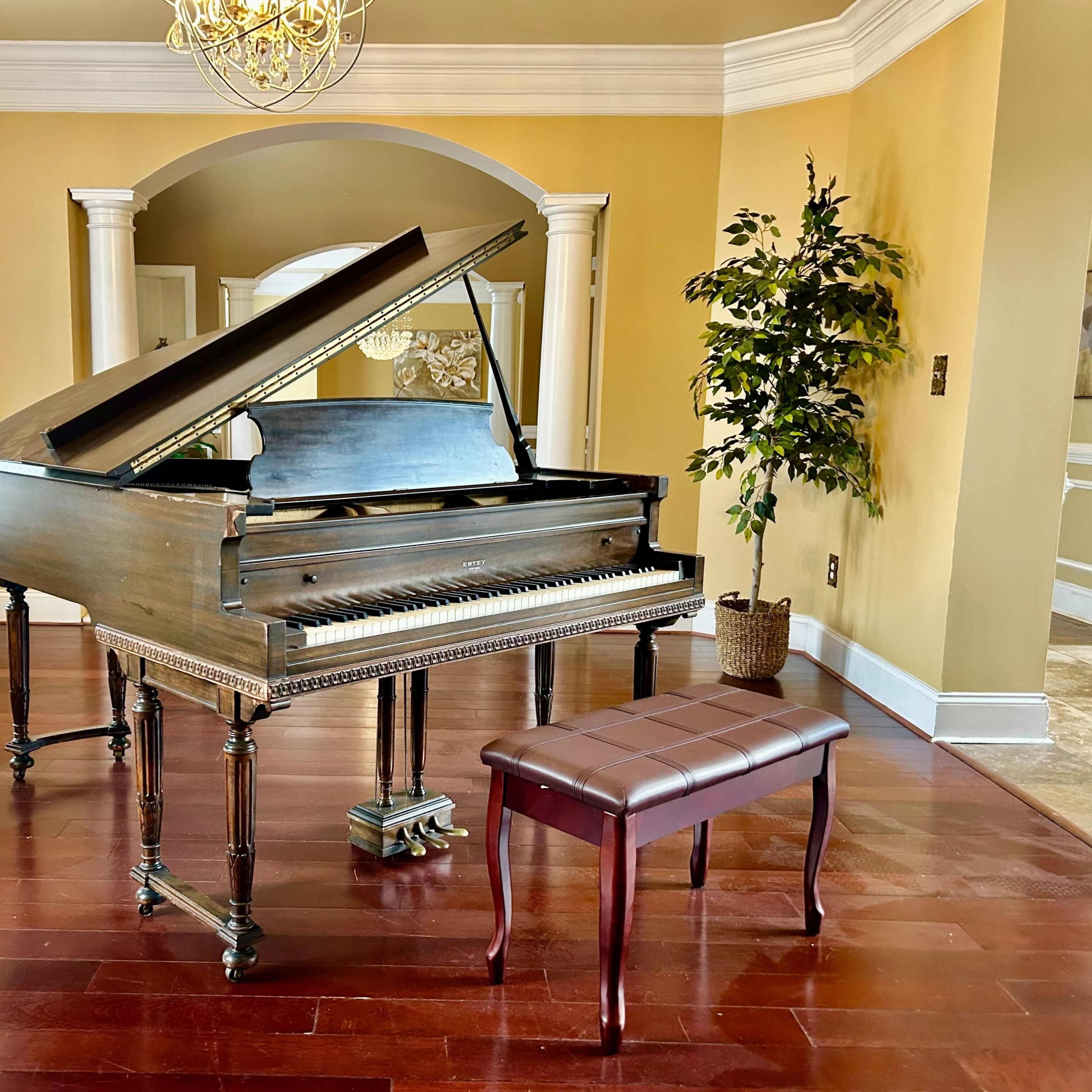 A grand piano with the lid open is positioned next to a decorative plant in a room with hardwood flooring and light-colored walls.