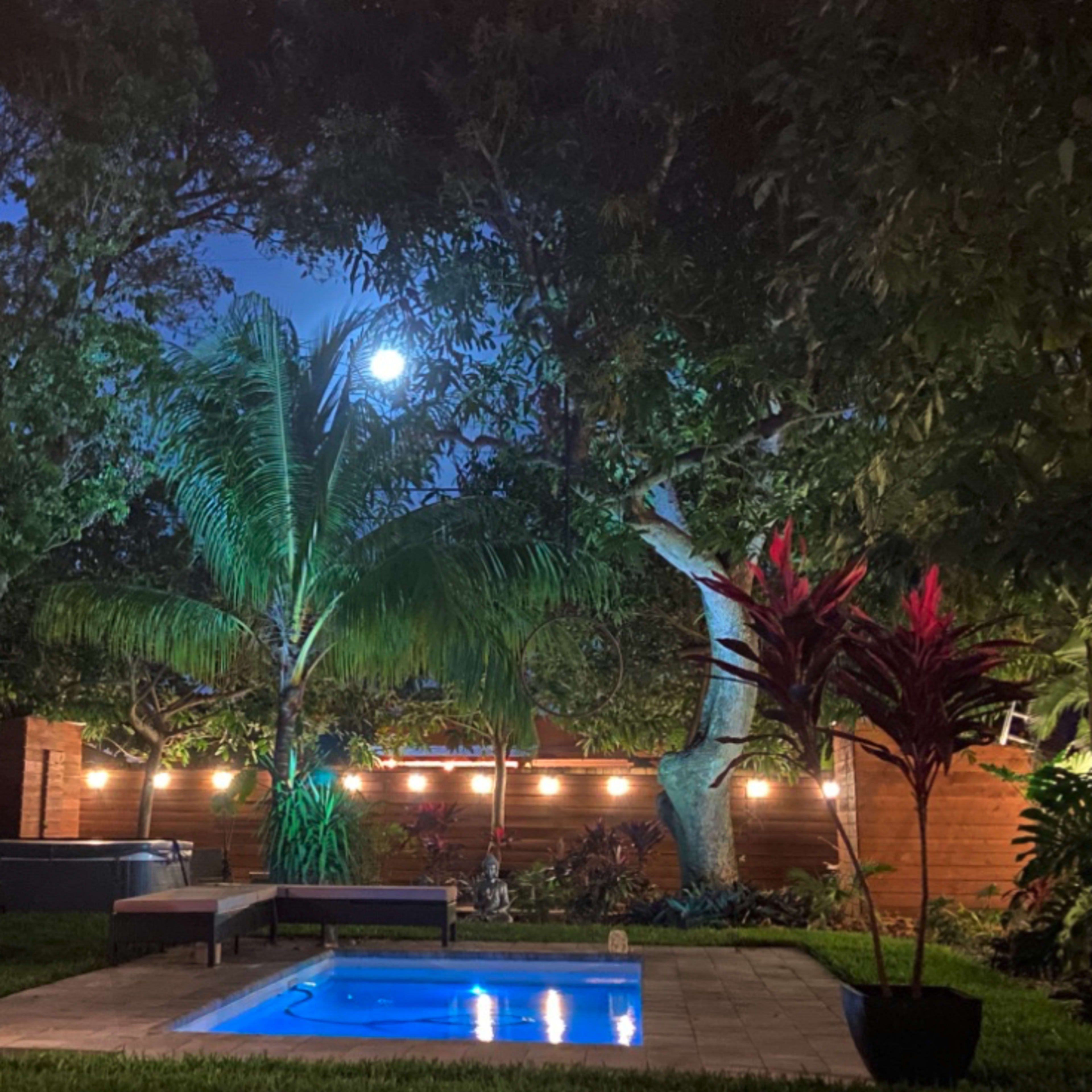 A backyard scene features a small pool illuminated by lights, surrounded by palm trees and decorative plants under a nighttime sky.