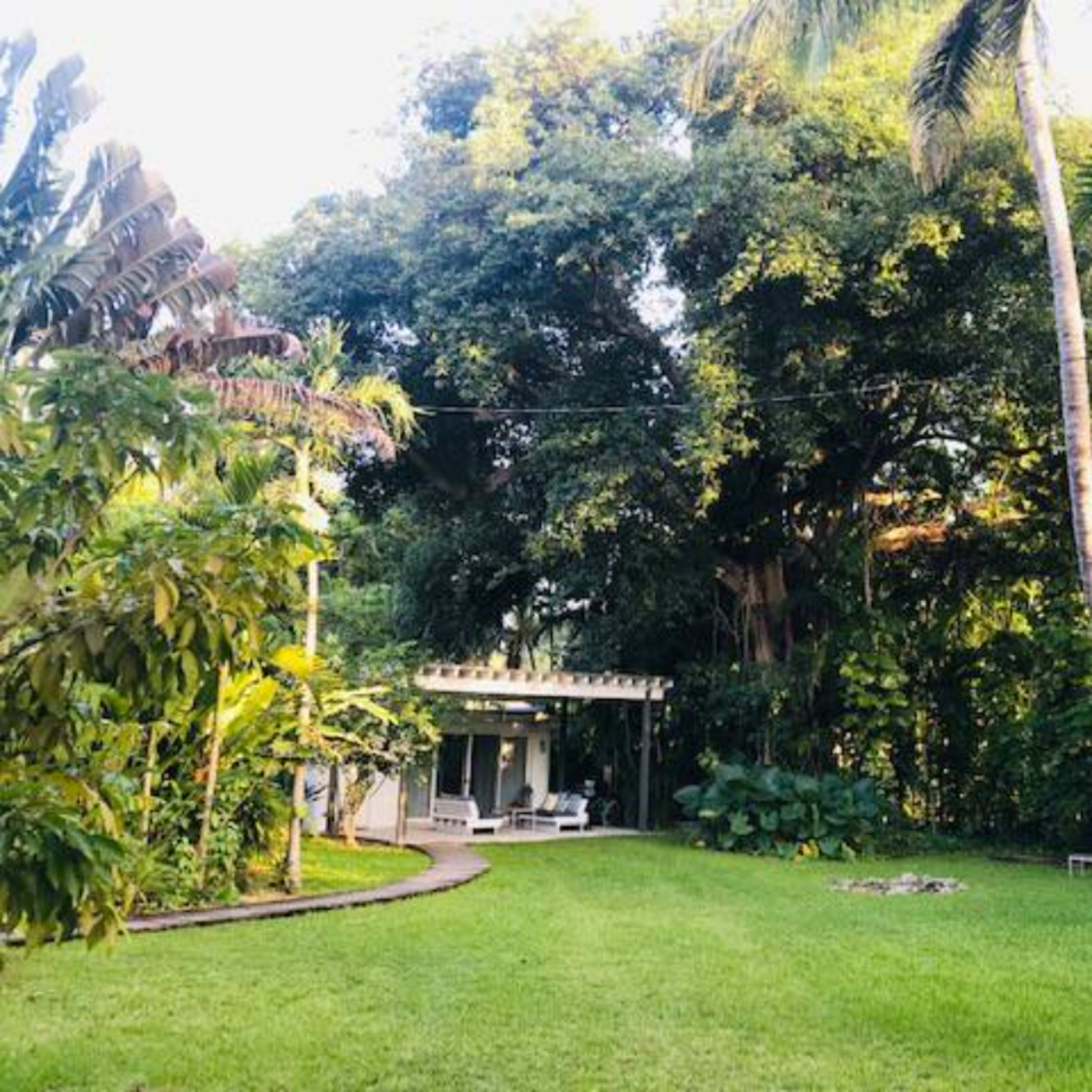 A lush green garden with a small patio and tall trees surrounding a grassy area.
