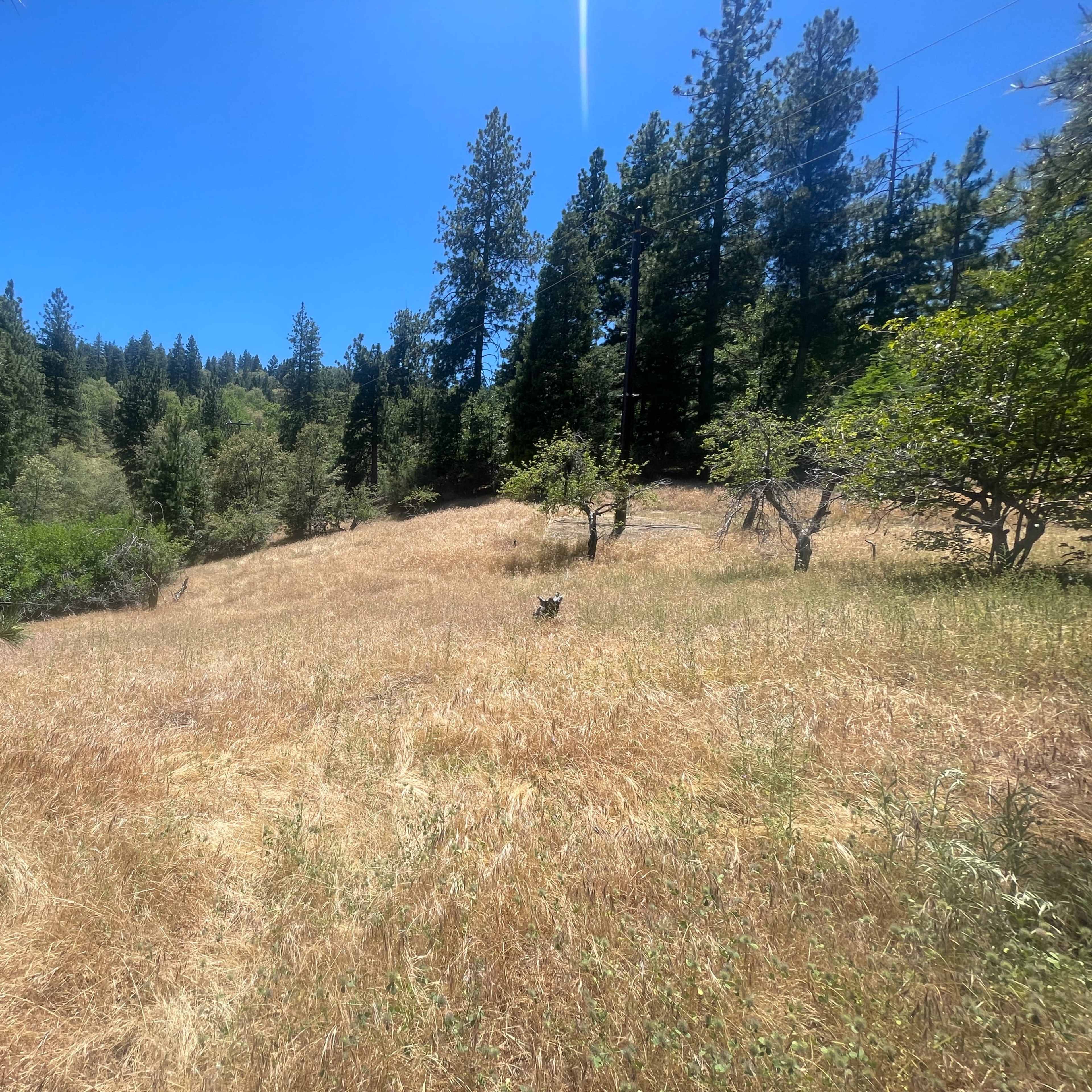 Privately owned woods to film in + gothic home 5 mins away Image in Crestline, Crestline, CA