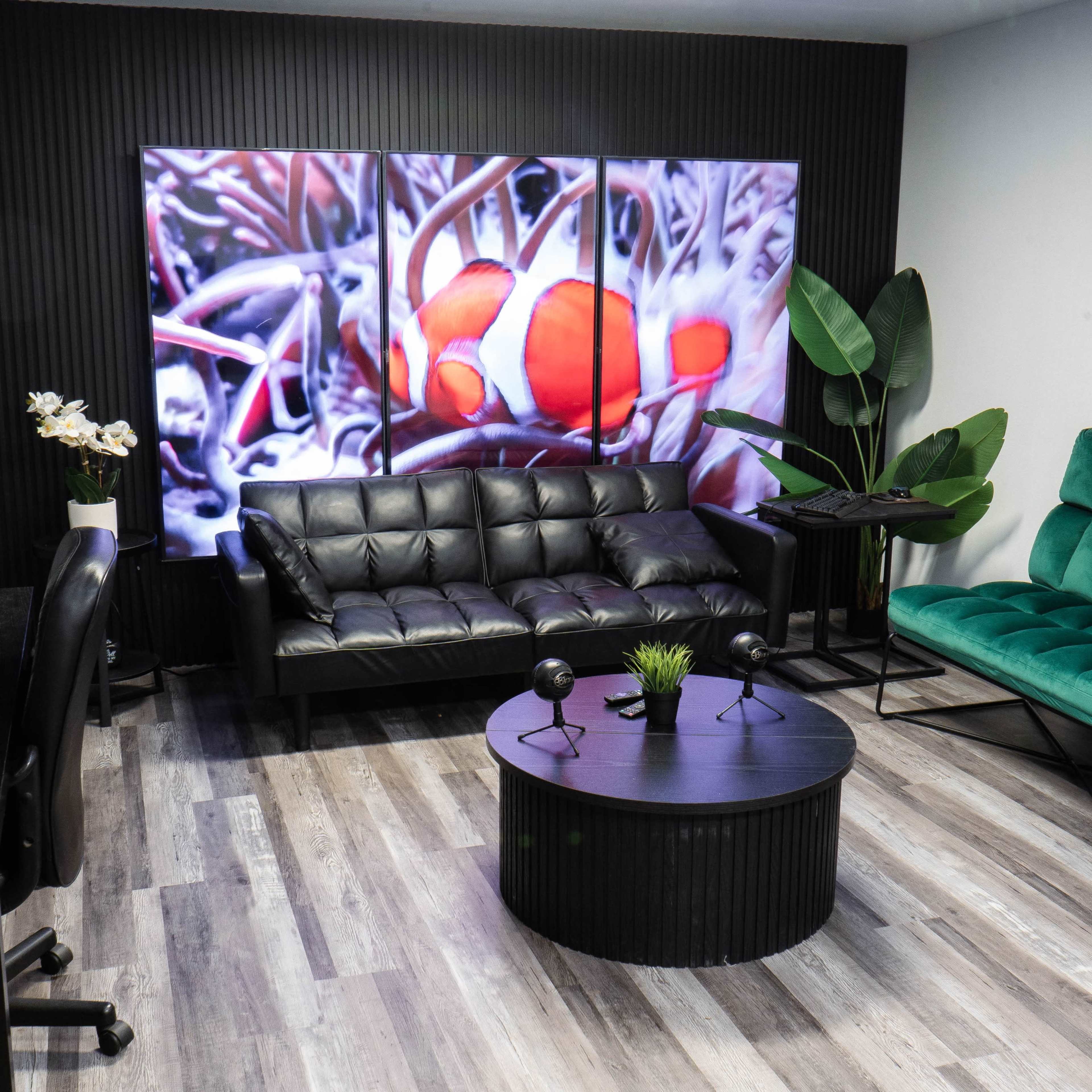 Versatile Podcast Room with TV Wall Image in Islip, Bay Shore, NY