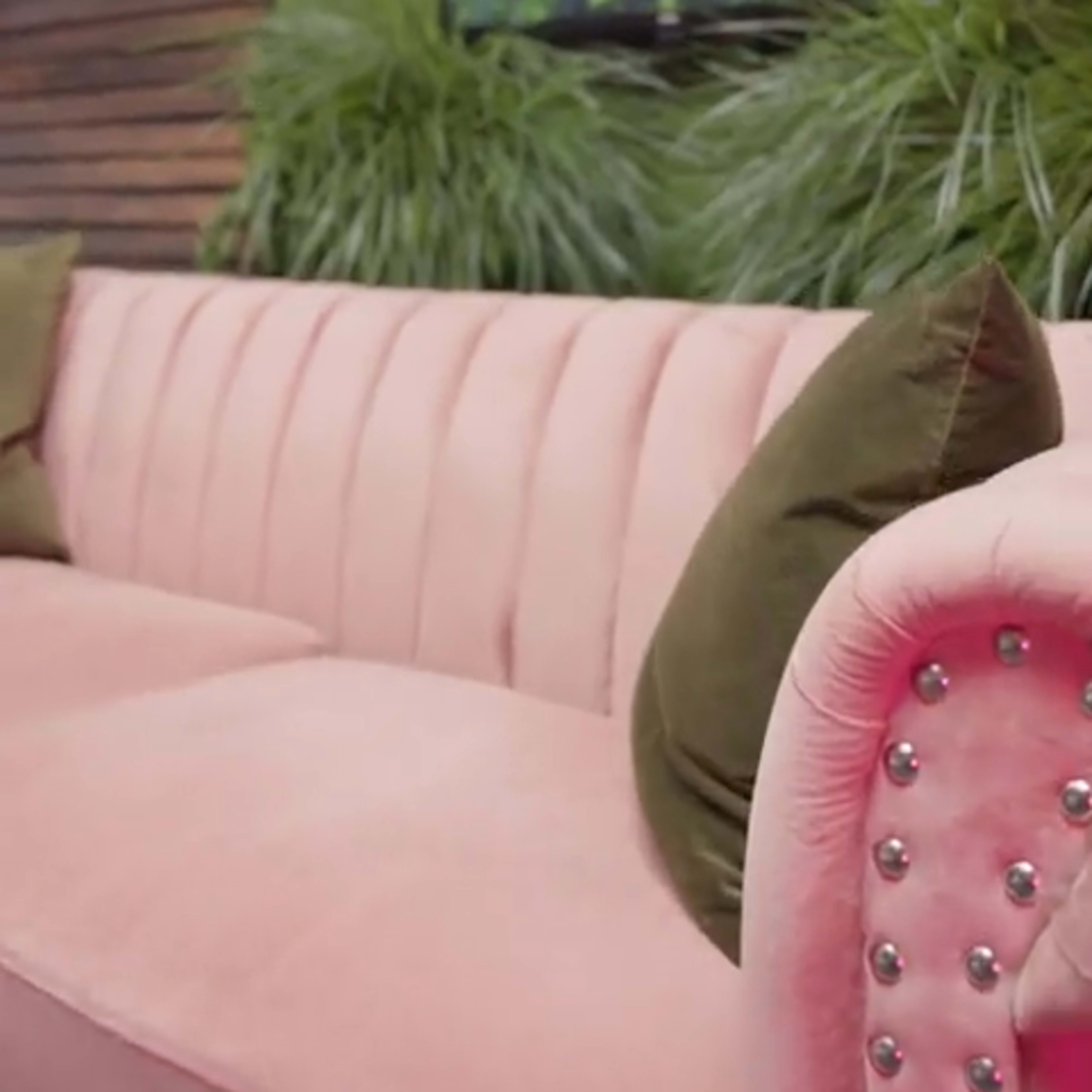 A pink velvet sofa with decorative pillows in front of a green wall adorned with plants and a TV mounted above.