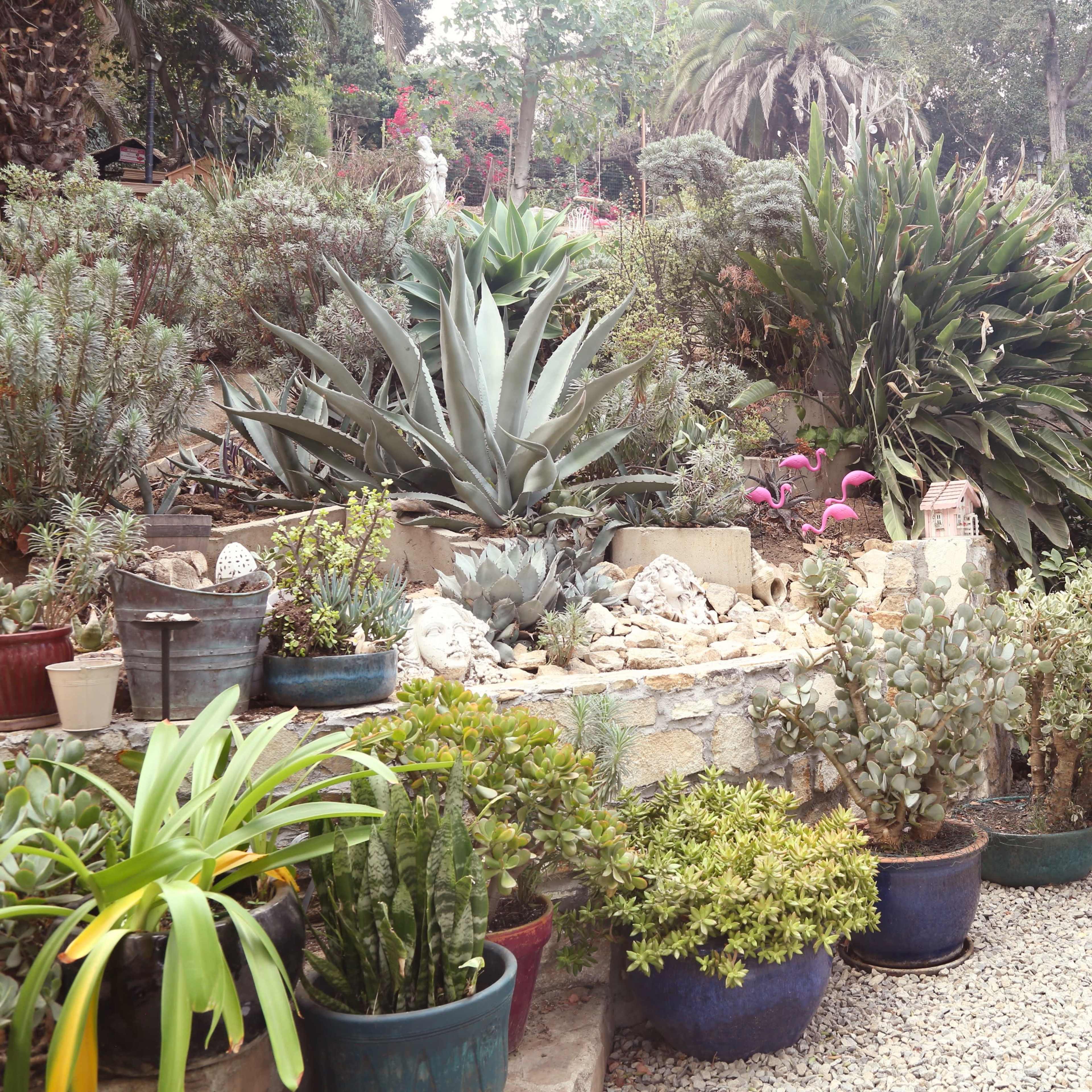 A landscaped garden featuring various plants, rocks, and pink flamingo decorations, along with outdoor seating in the background.