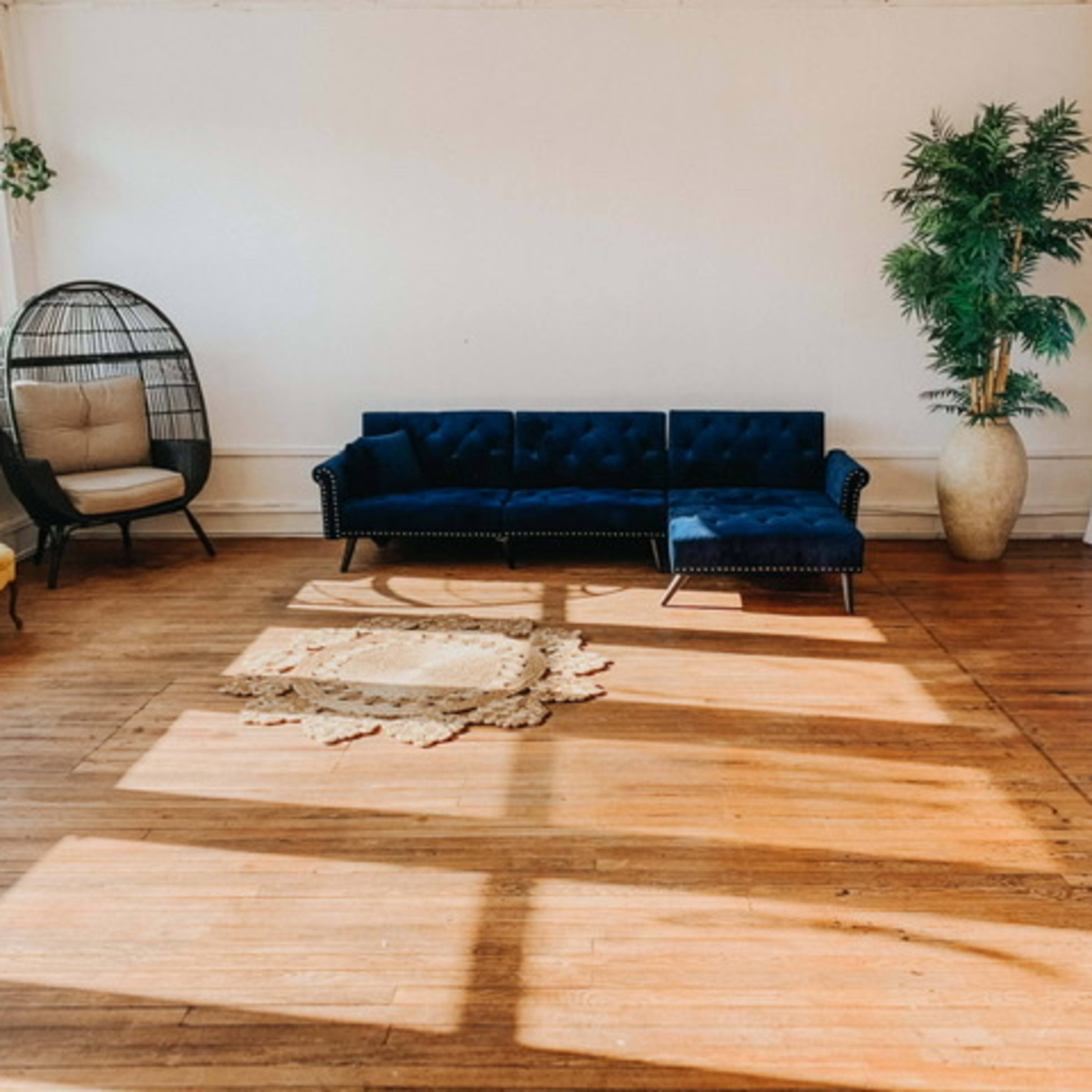 A spacious room featuring a blue couch, a hanging chair, a potted plant, and a woven rug on wooden flooring.