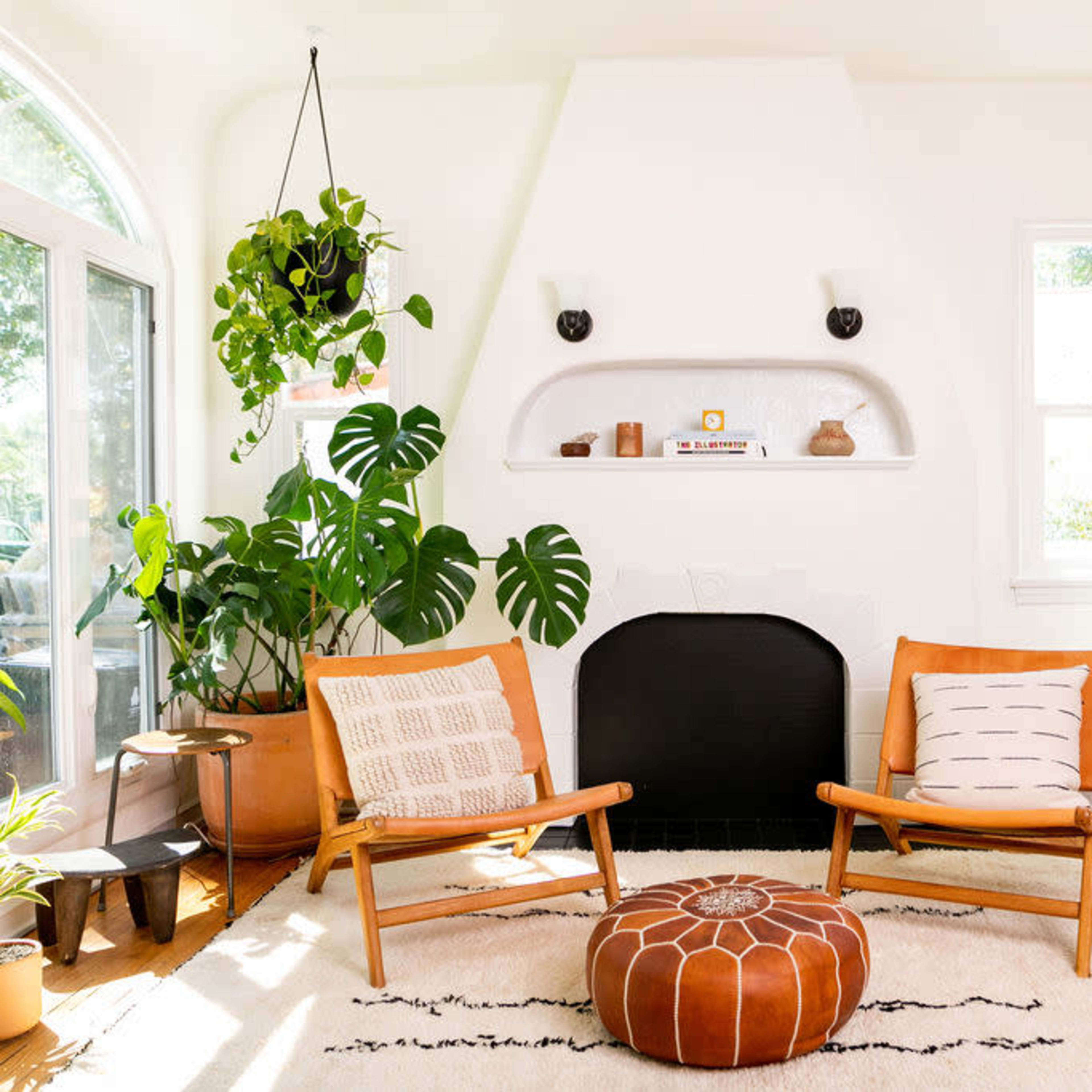 A bright room with two wooden chairs, a round pouf, a black fireplace, and various indoor plants arranged throughout.