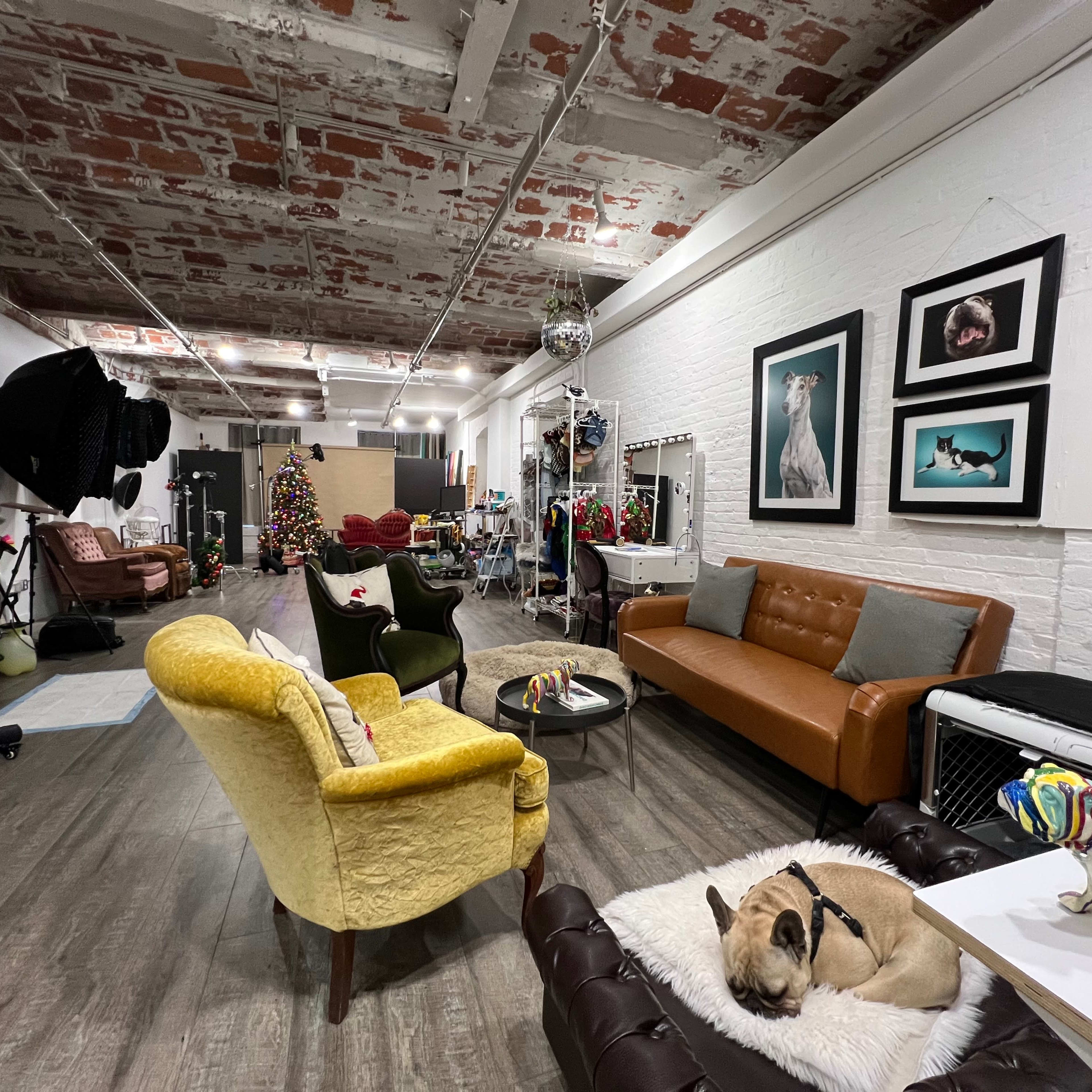 PROFOTO Studio with TETHER Station and TONS OF GEAR & PROPS Image in Dumbo, Brooklyn, NY