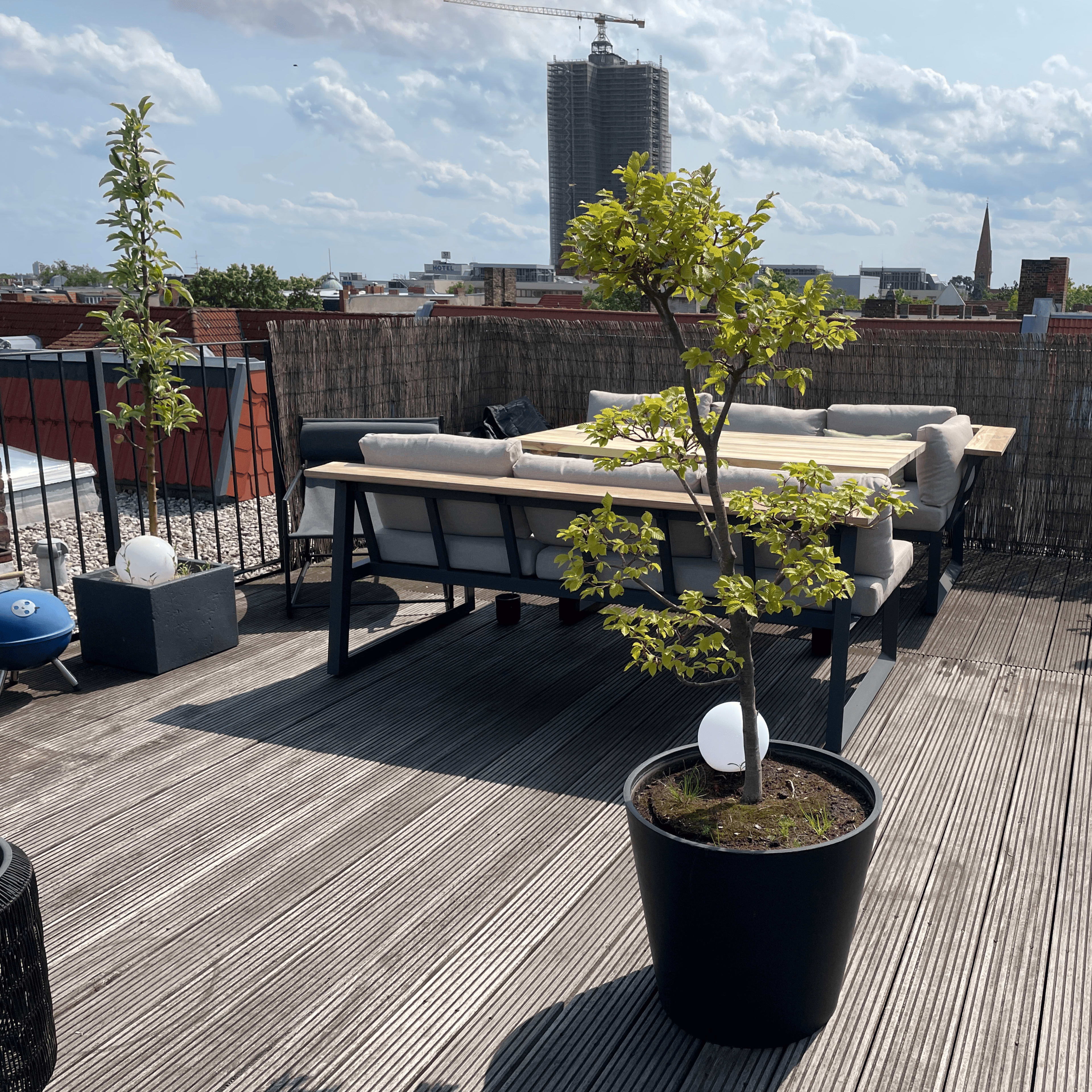 A rooftop terrace features a potted tree, a seating area with a sofa, and buildings in the background under a partly cloudy sky.