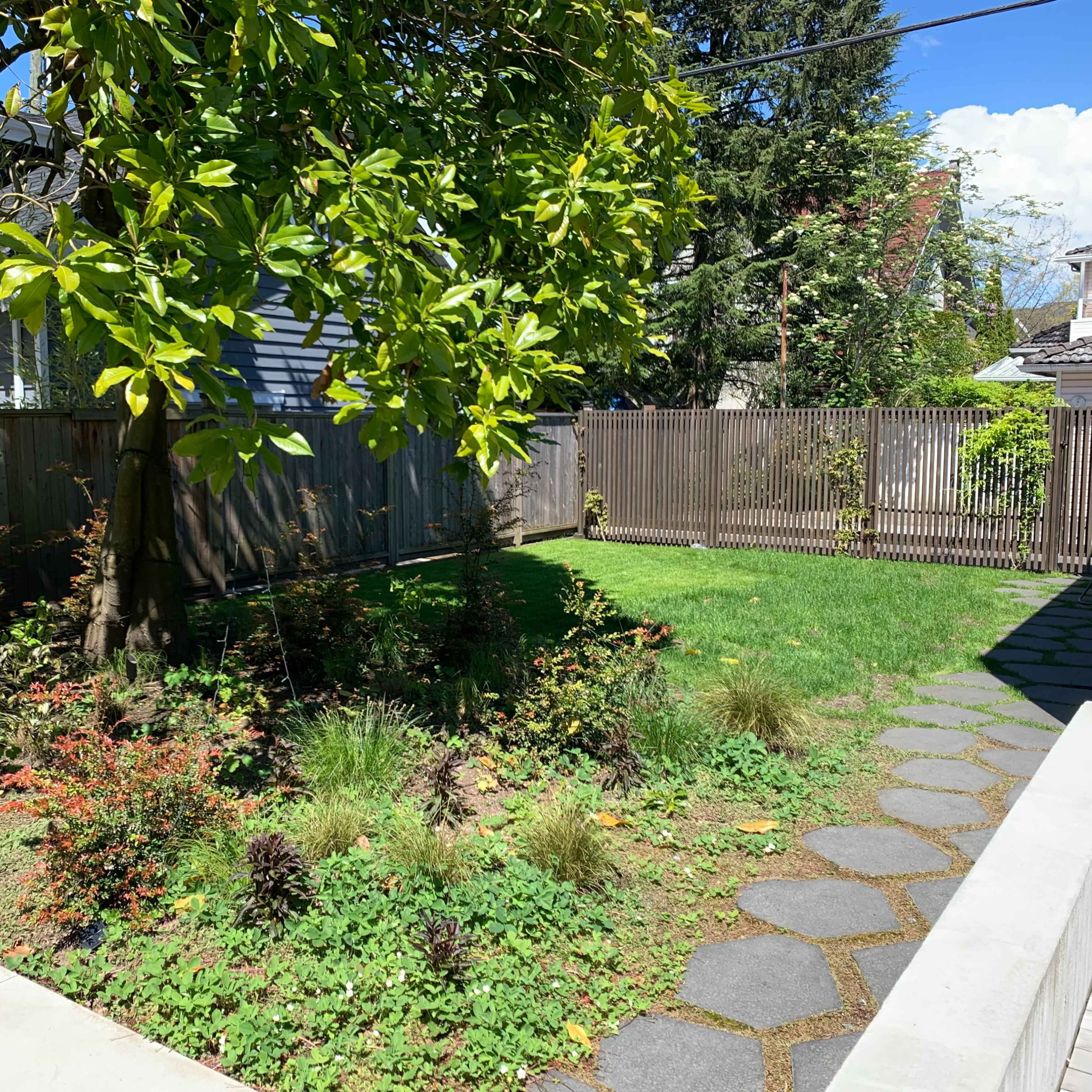 A backyard garden with a tree, grassy area, and a stone path bordered by low plants.