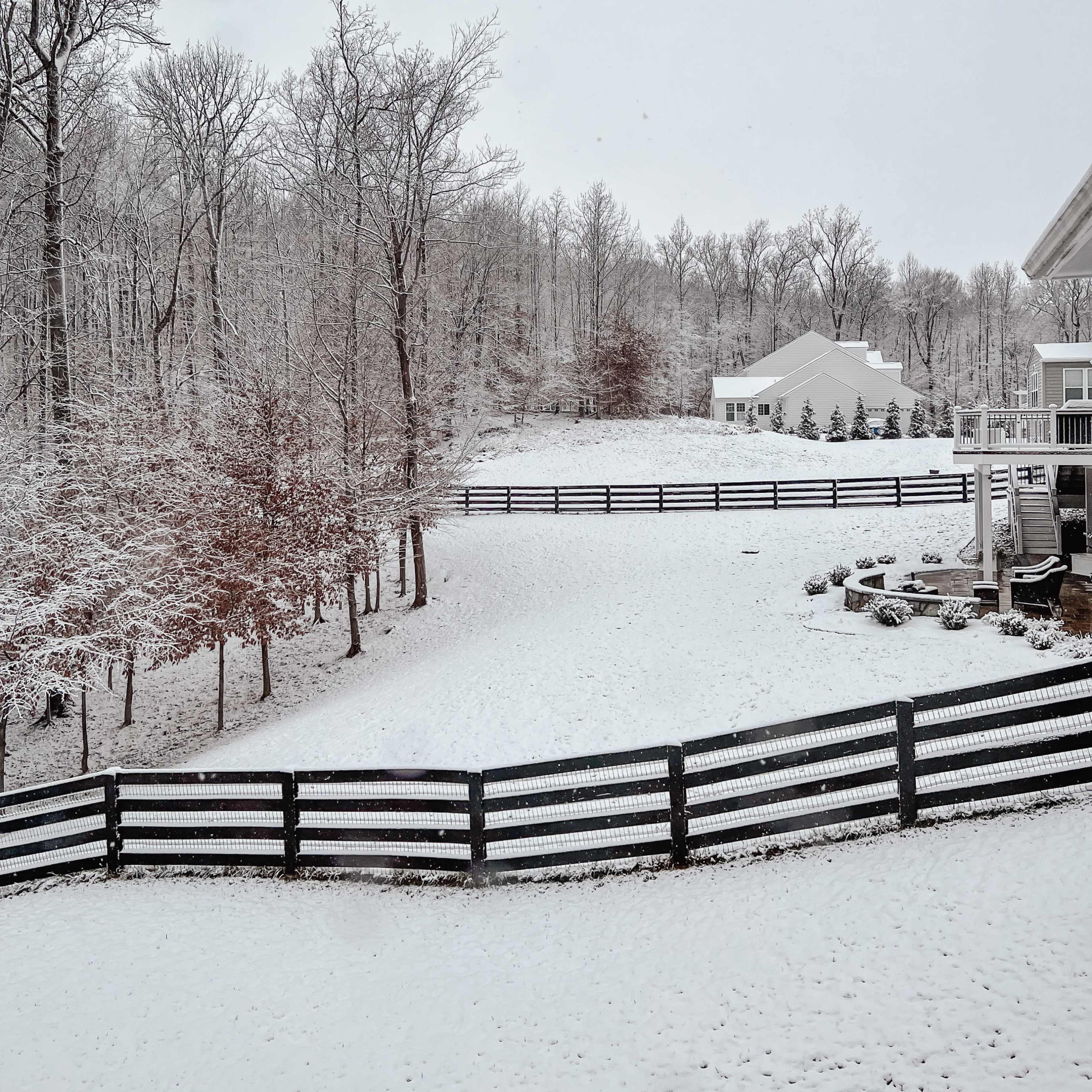 A snowy landscape features bare trees and a white-covered yard, bordered by a black wooden fence, with a house visible in the background.