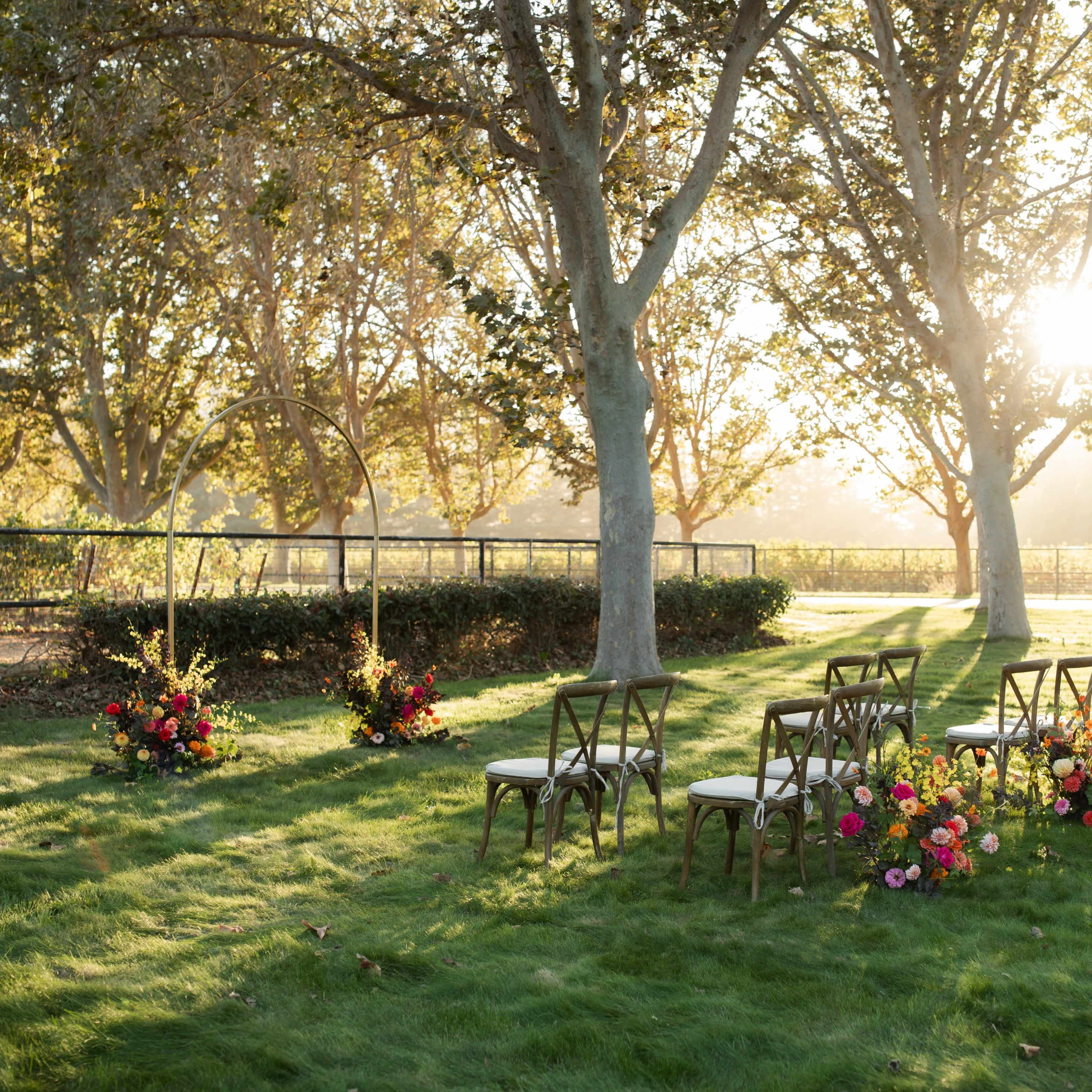 Santa Ynez Valley vineyard and horse ranch Image in , Solvang, CA