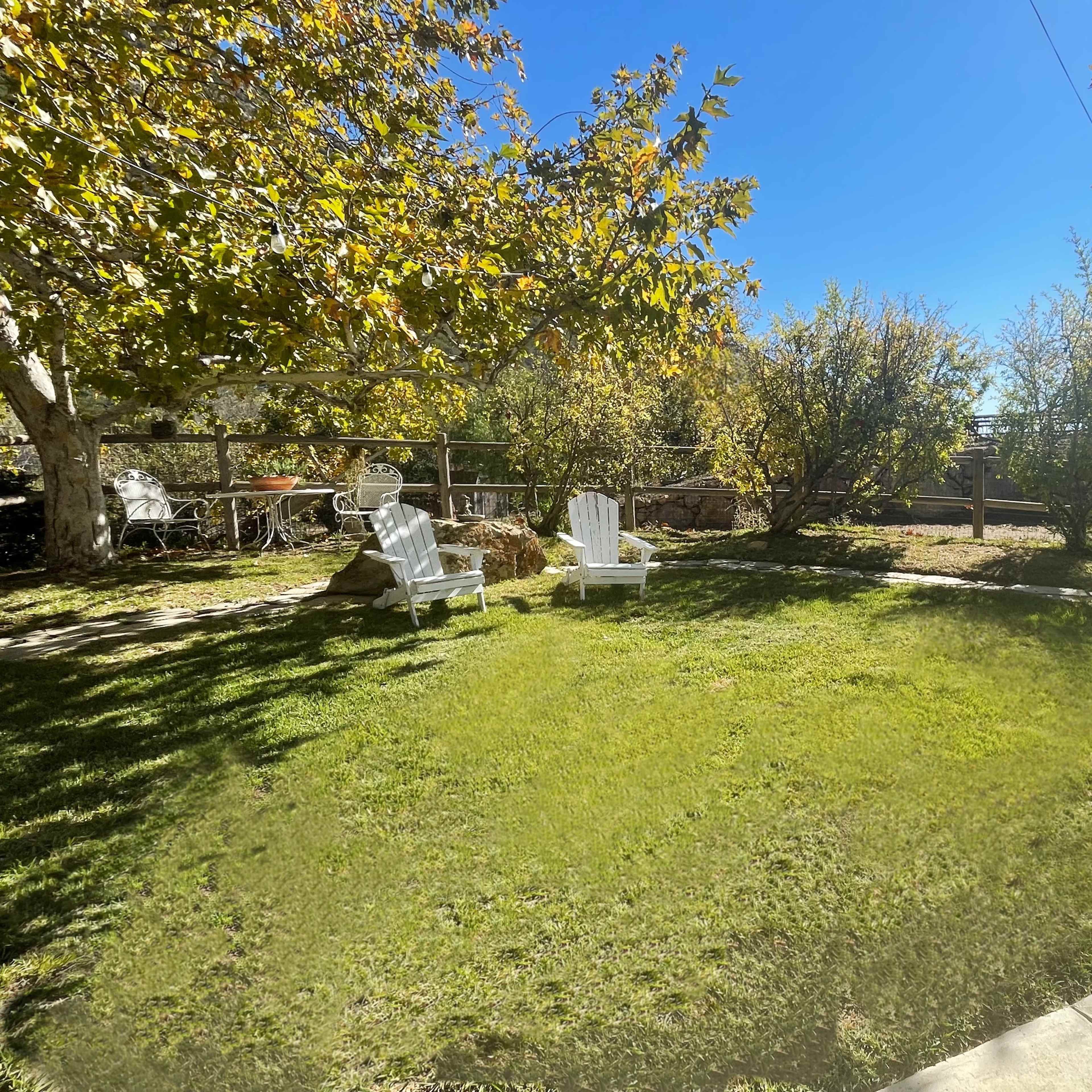A grassy backyard with two white Adirondack chairs under a tree and surrounded by various shrubs.