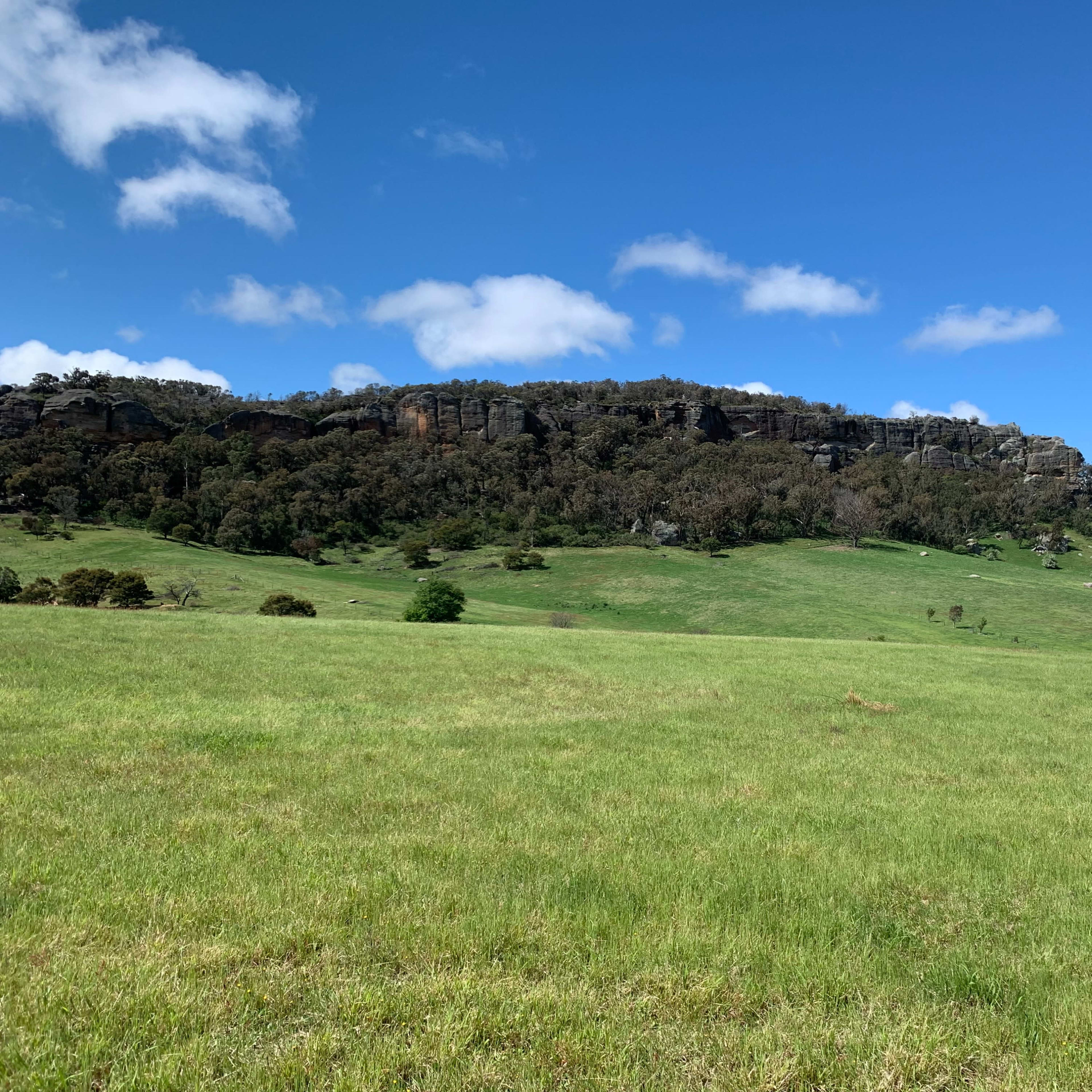 A grassy field with a rocky hill in the background under a clear blue sky.