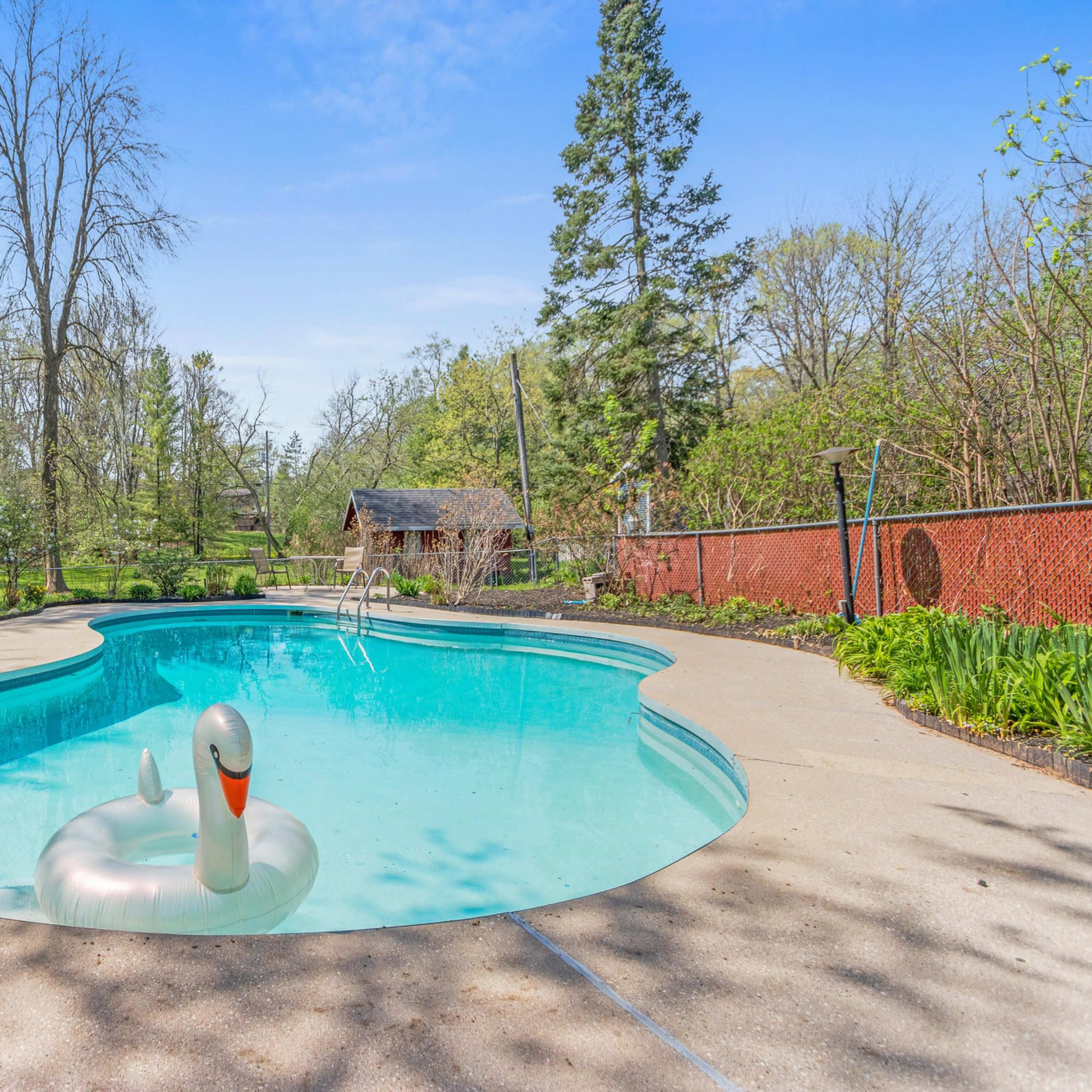A clear swimming pool with a swan-shaped inflatable float is surrounded by green trees and a rustic shed in the background.