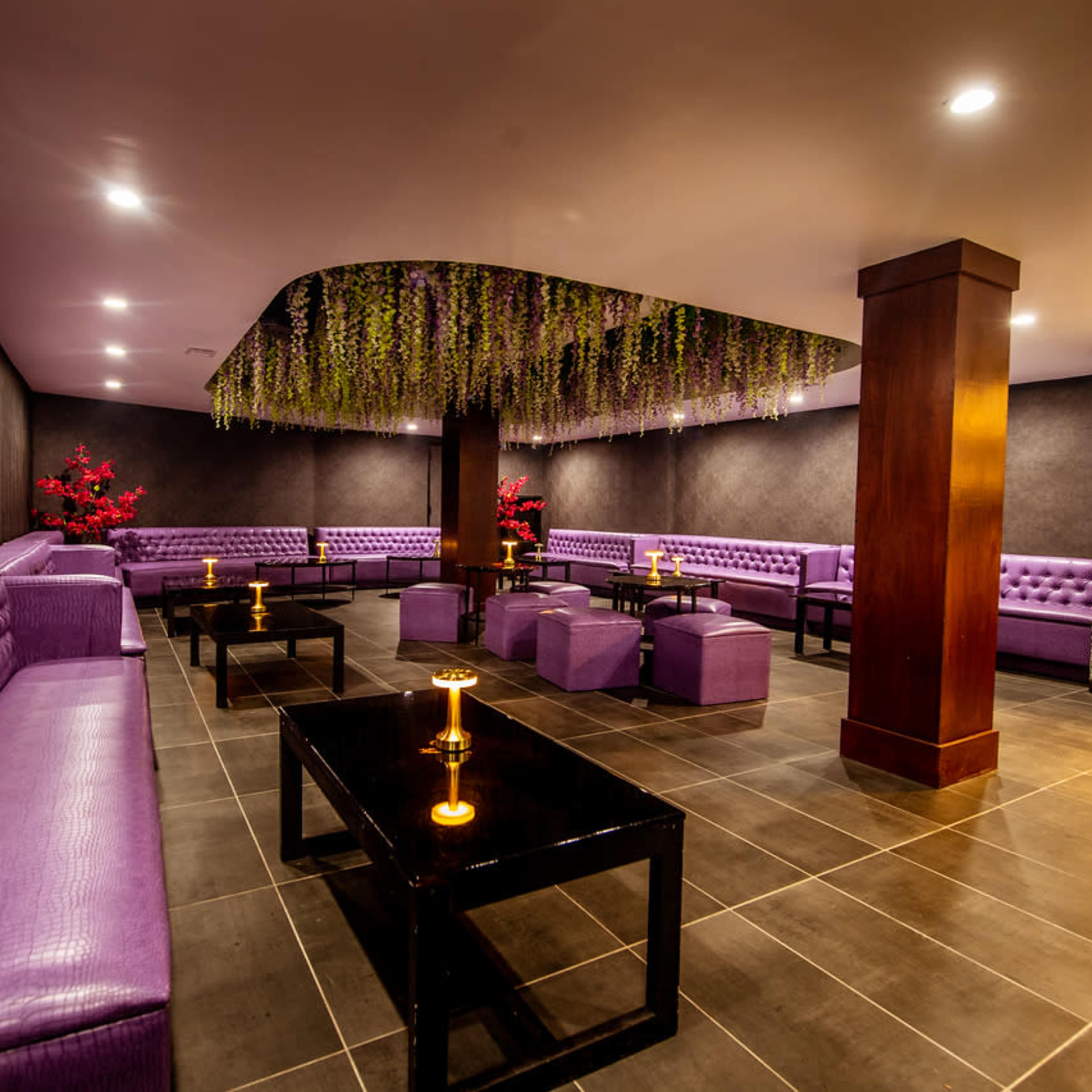 The room features purple upholstered seating arranged around black tables, with decorative greenery hanging from the ceiling.