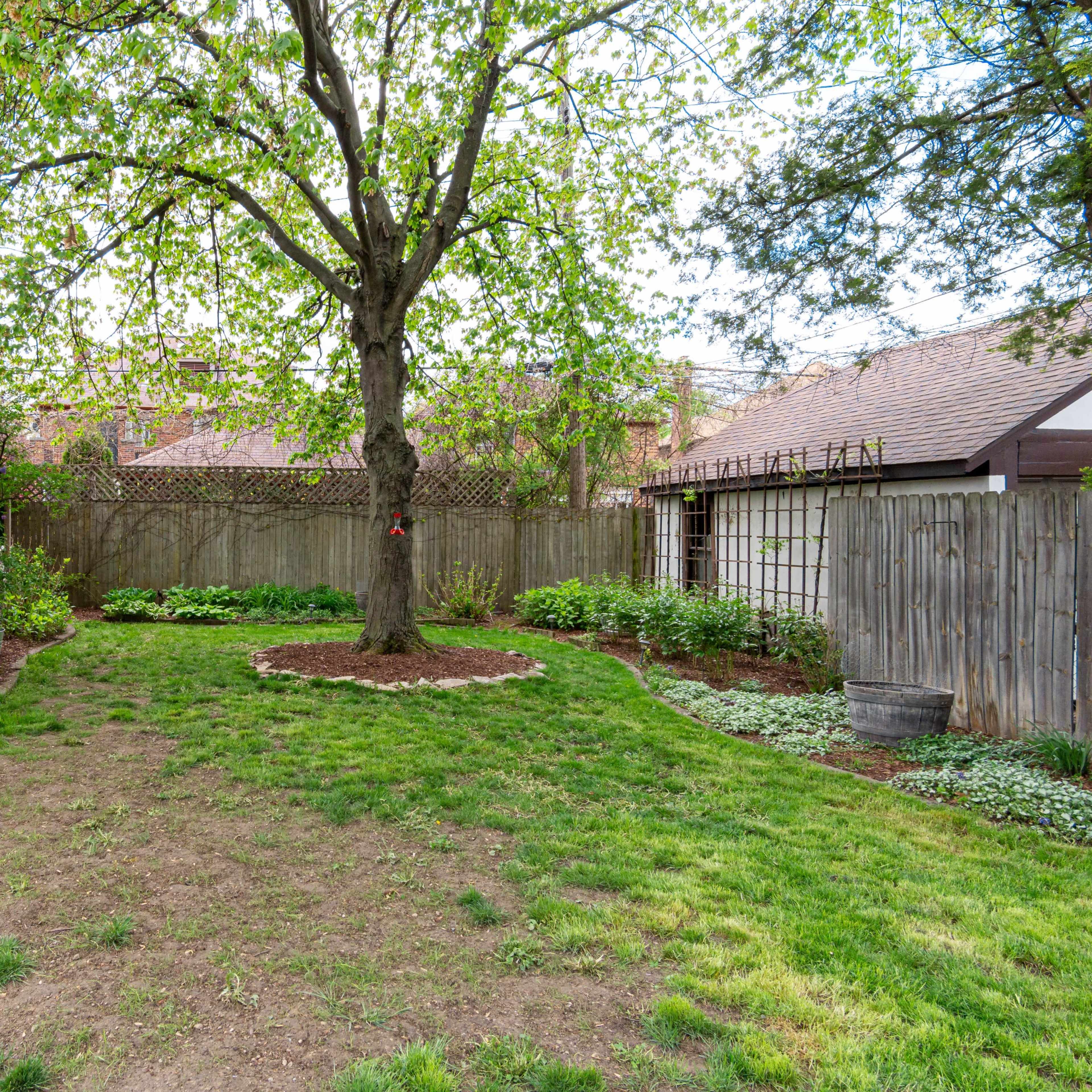 A grassy backyard features a large tree at the center, surrounded by a circular mulch bed and greenery, with a fenced area on one side.