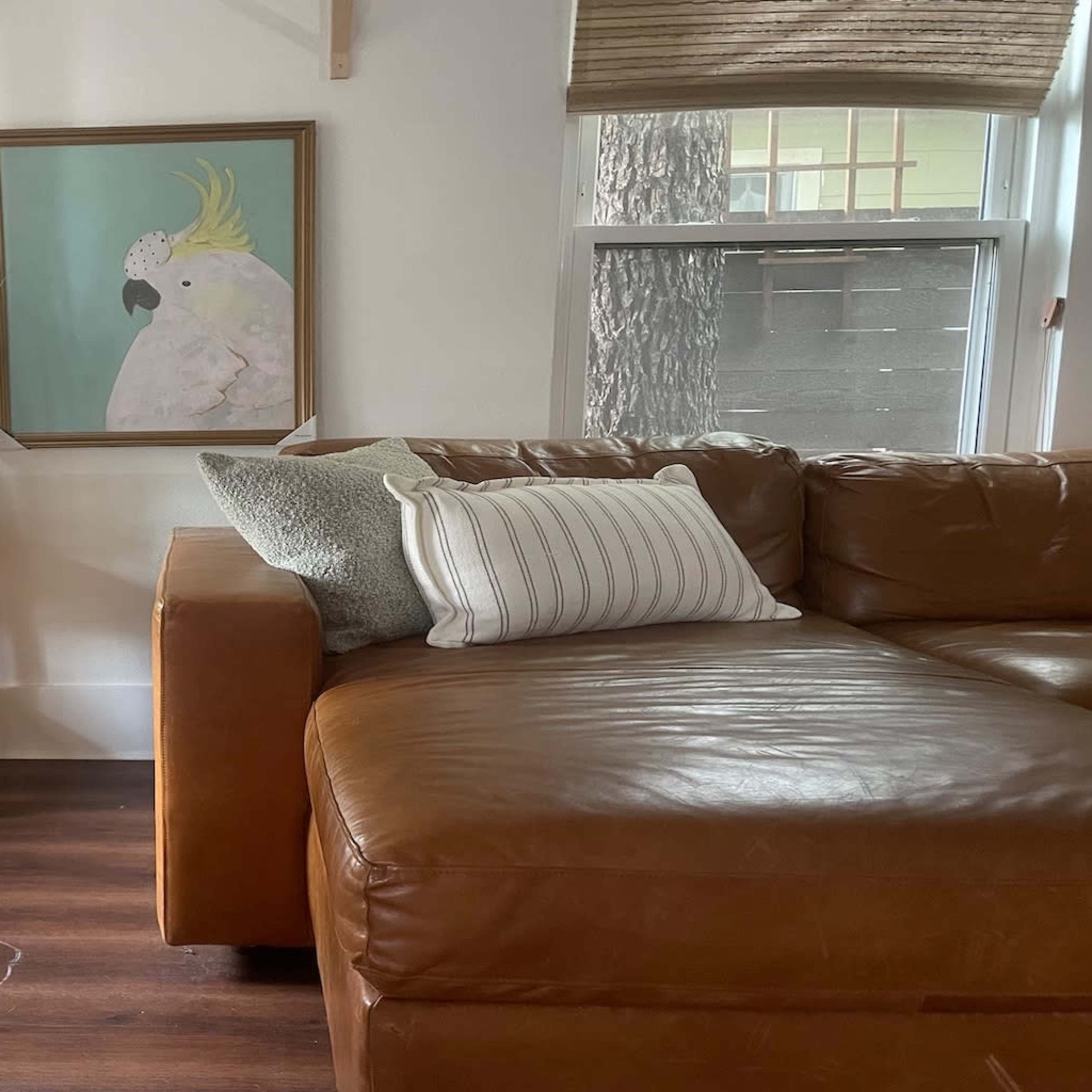 A cozy living room corner featuring a brown leather sofa, a small wooden stool with a potted plant, and a framed artwork of a bird on the wall.