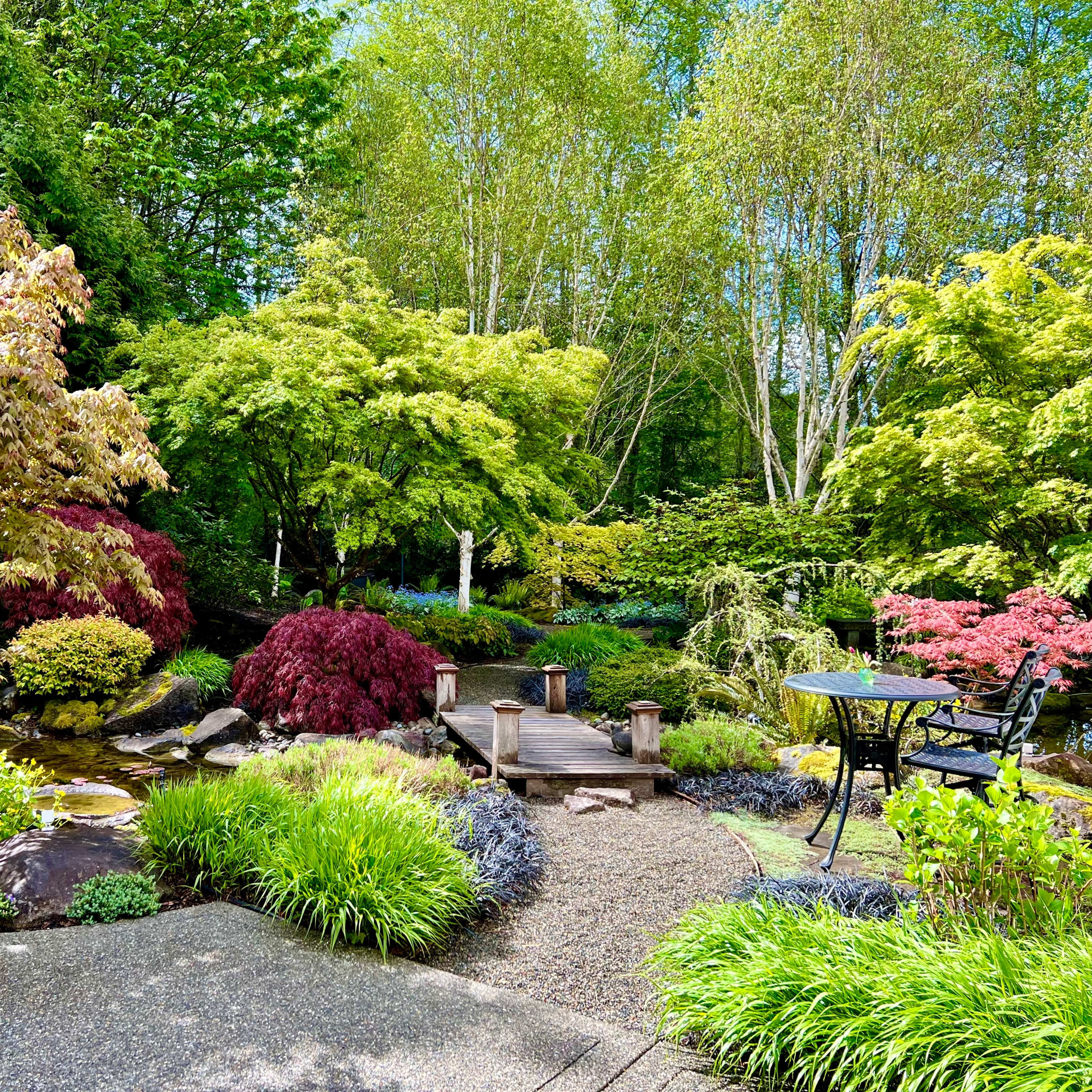 A landscaped garden with a variety of trees, shrubs, and a small pond, featuring a wooden bridge and seating areas.