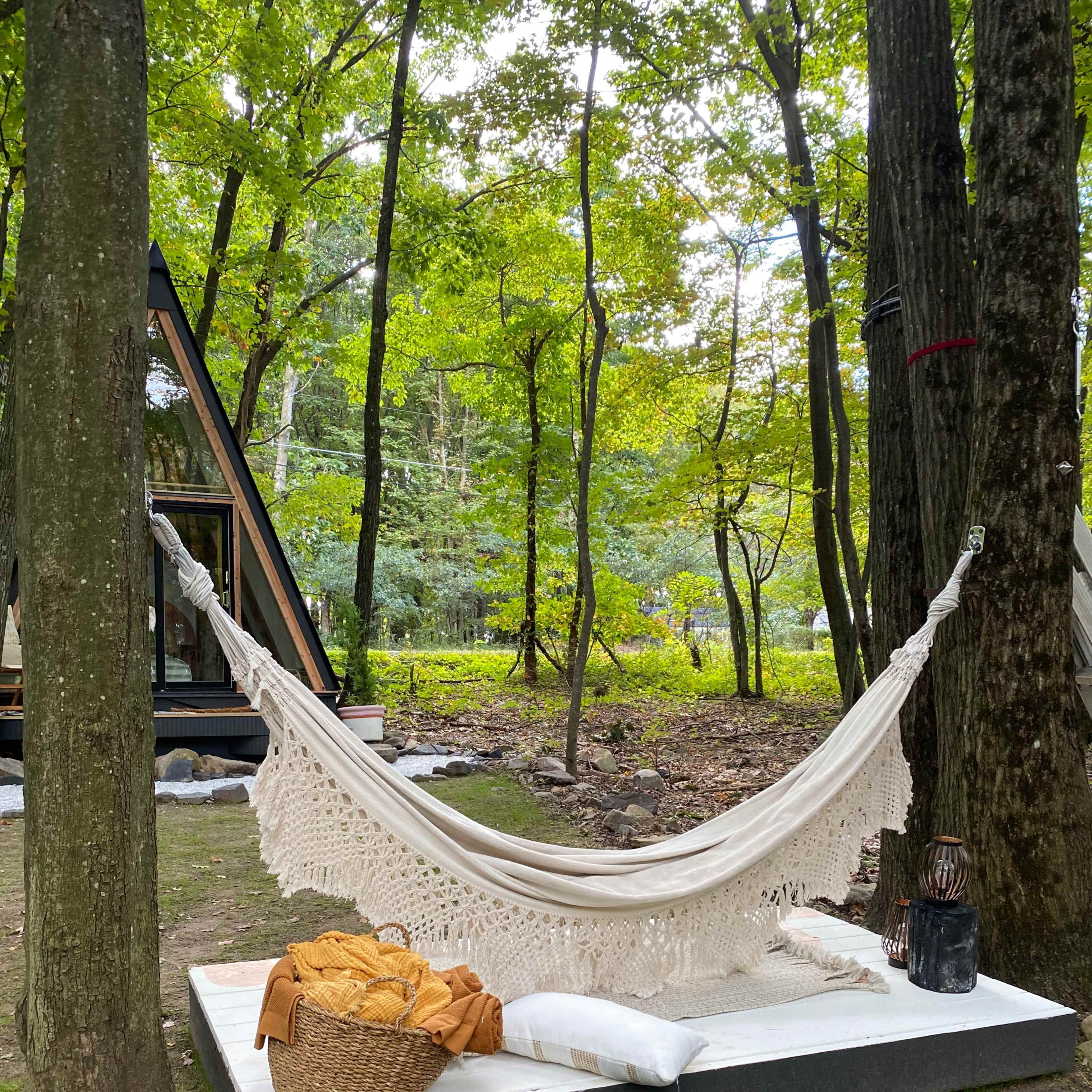 A hammock is suspended between two trees on a raised platform, surrounded by greenery and nearby a small wooden structure.