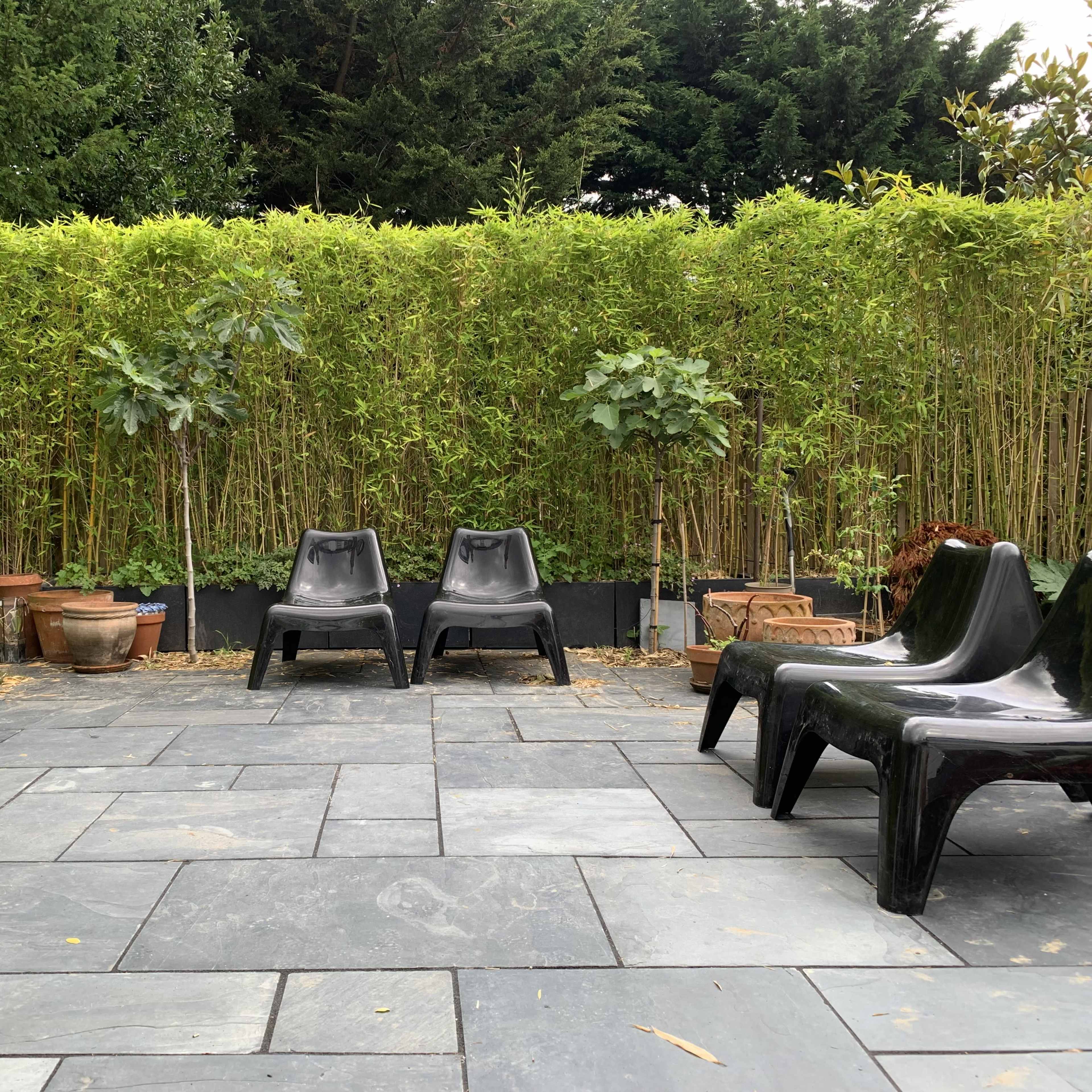 A stone-paved patio with two black chairs set against a backdrop of tall green hedges and potted plants.