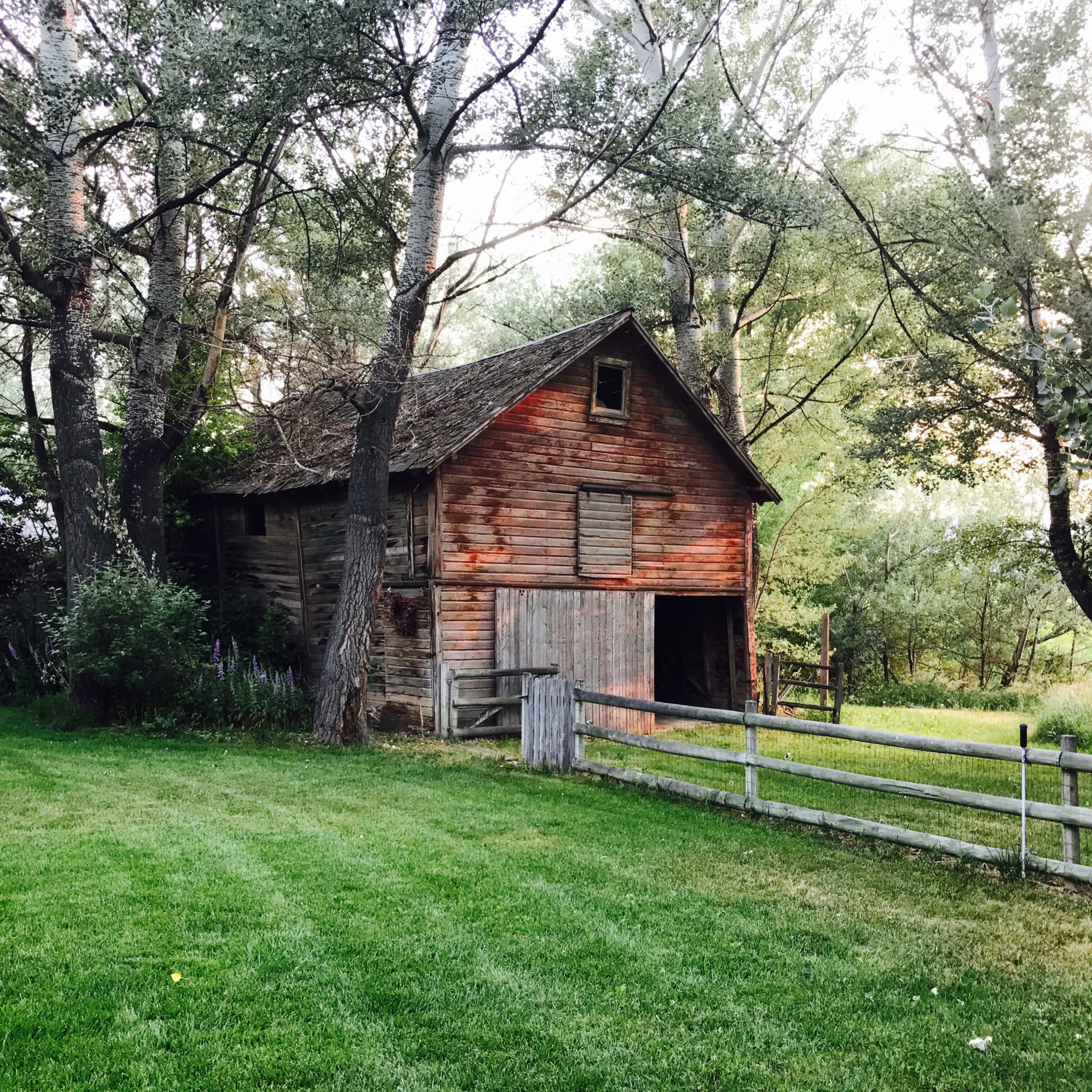 A weathered barn stands among trees on a grassy area, enclosed by a wooden fence.