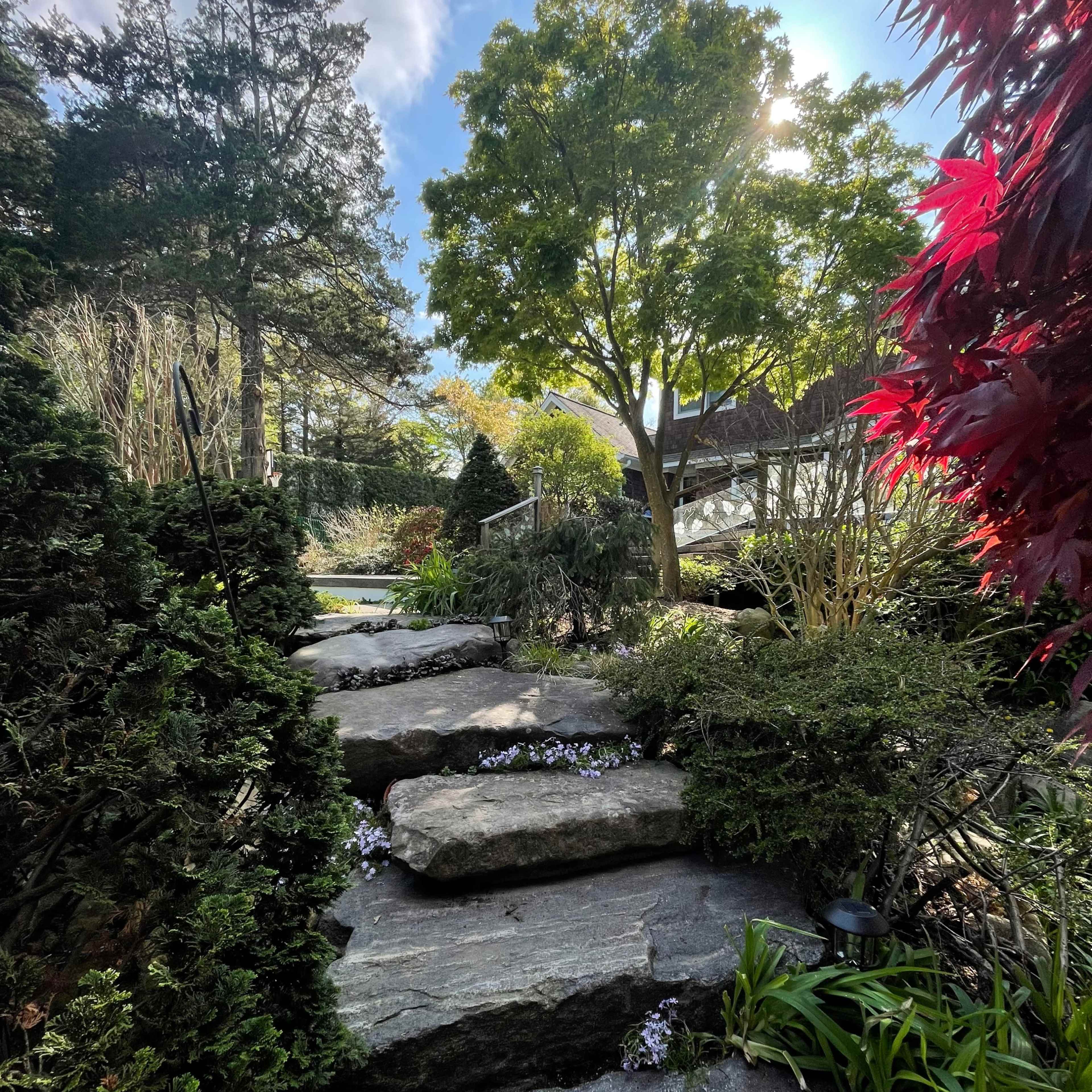 A pathway of large stones winds through a garden filled with various plants and trees under a clear sky.