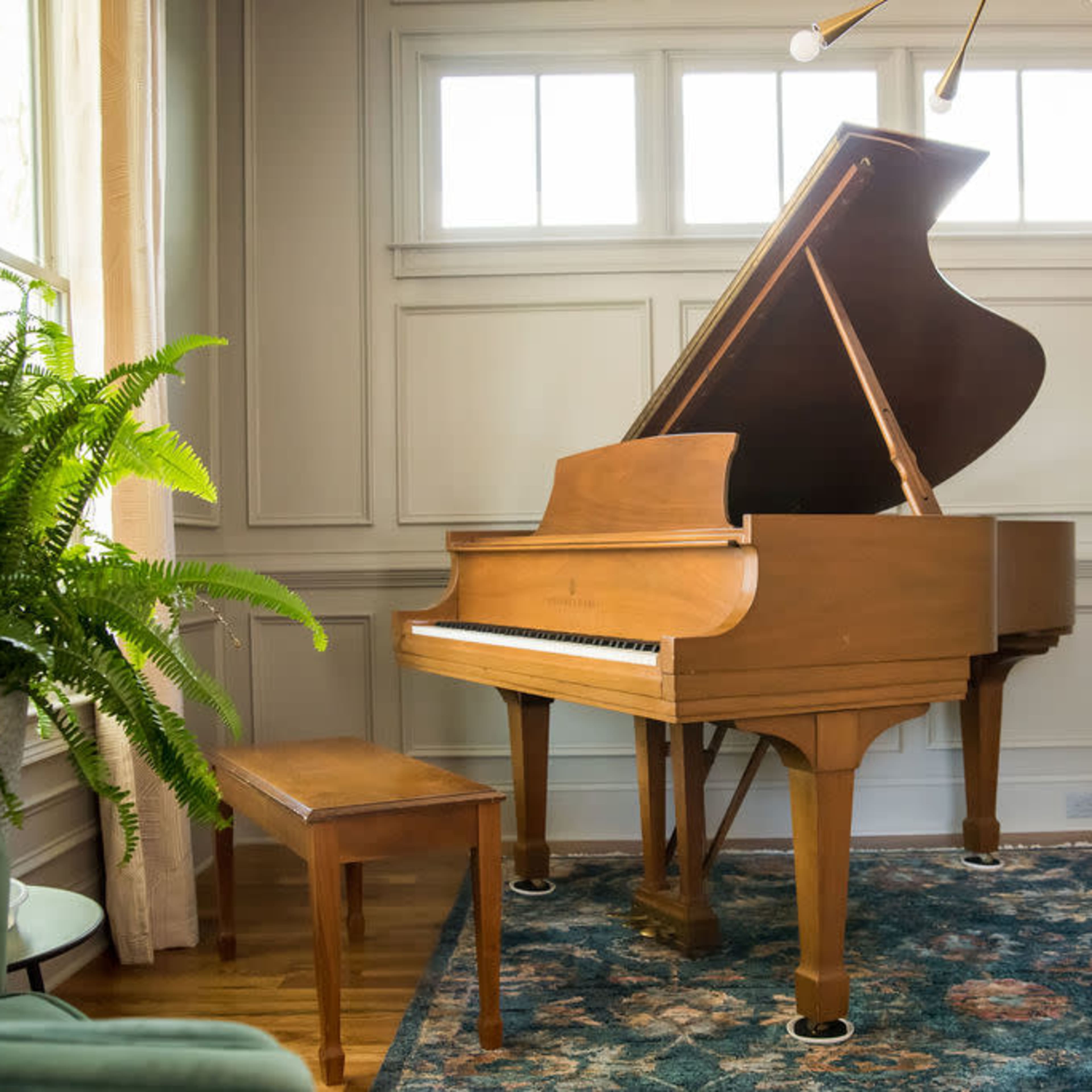A wooden grand piano is positioned in a bright room with large windows, next to a tall plant and an area rug.