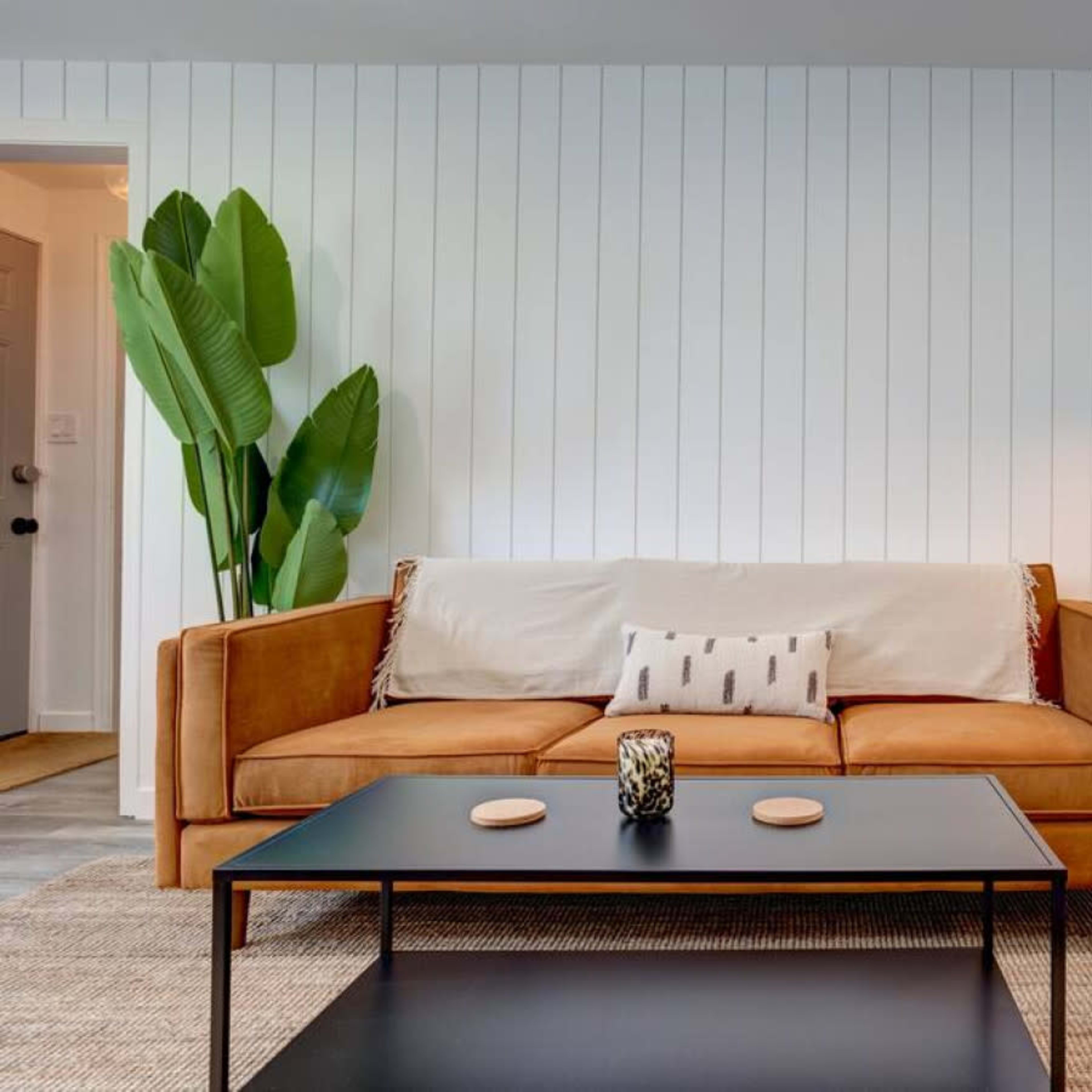A modern living room with a tan sofa, a black coffee table, and a potted plant against a white shiplap wall.