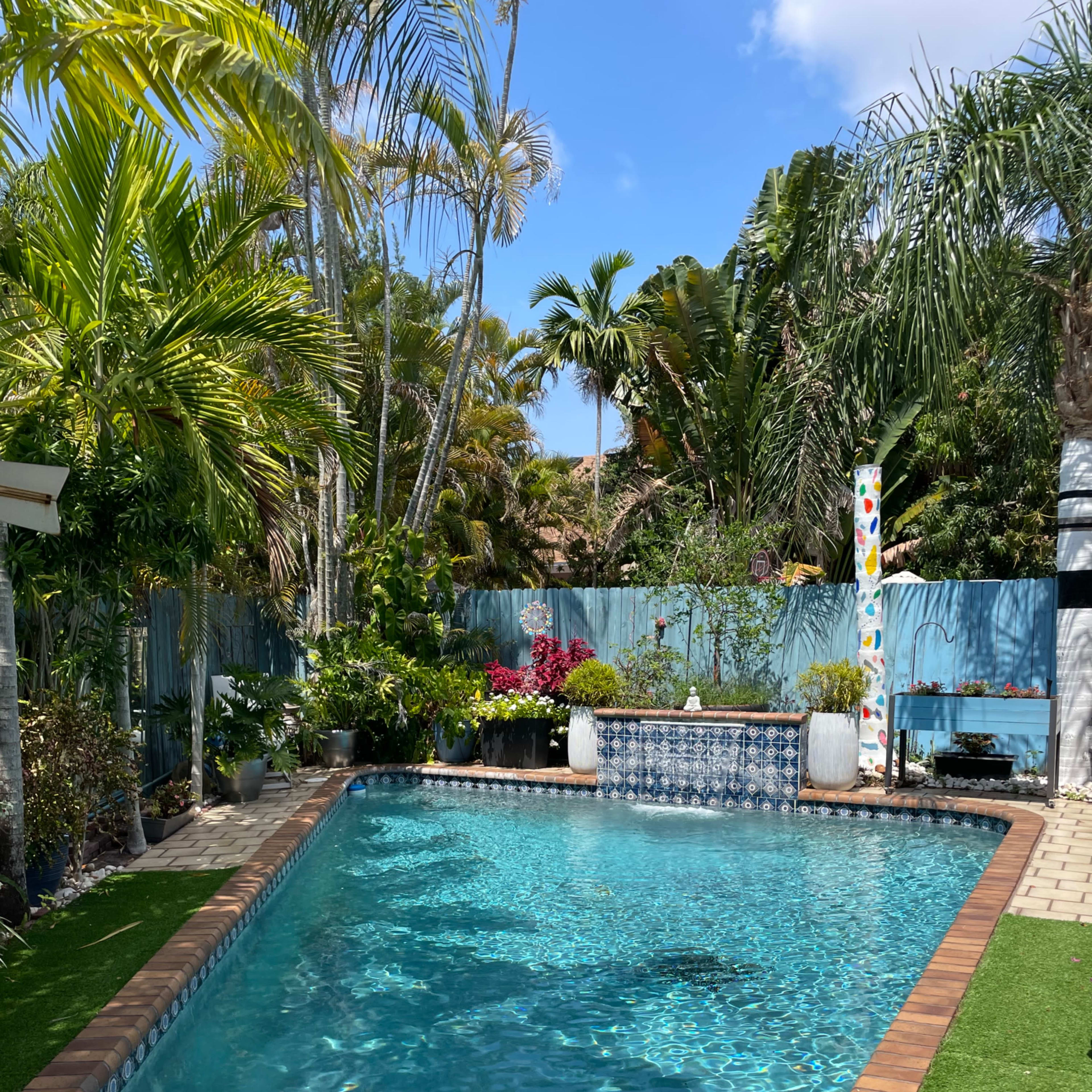 A clear swimming pool surrounded by tropical plants and colorful landscaping.