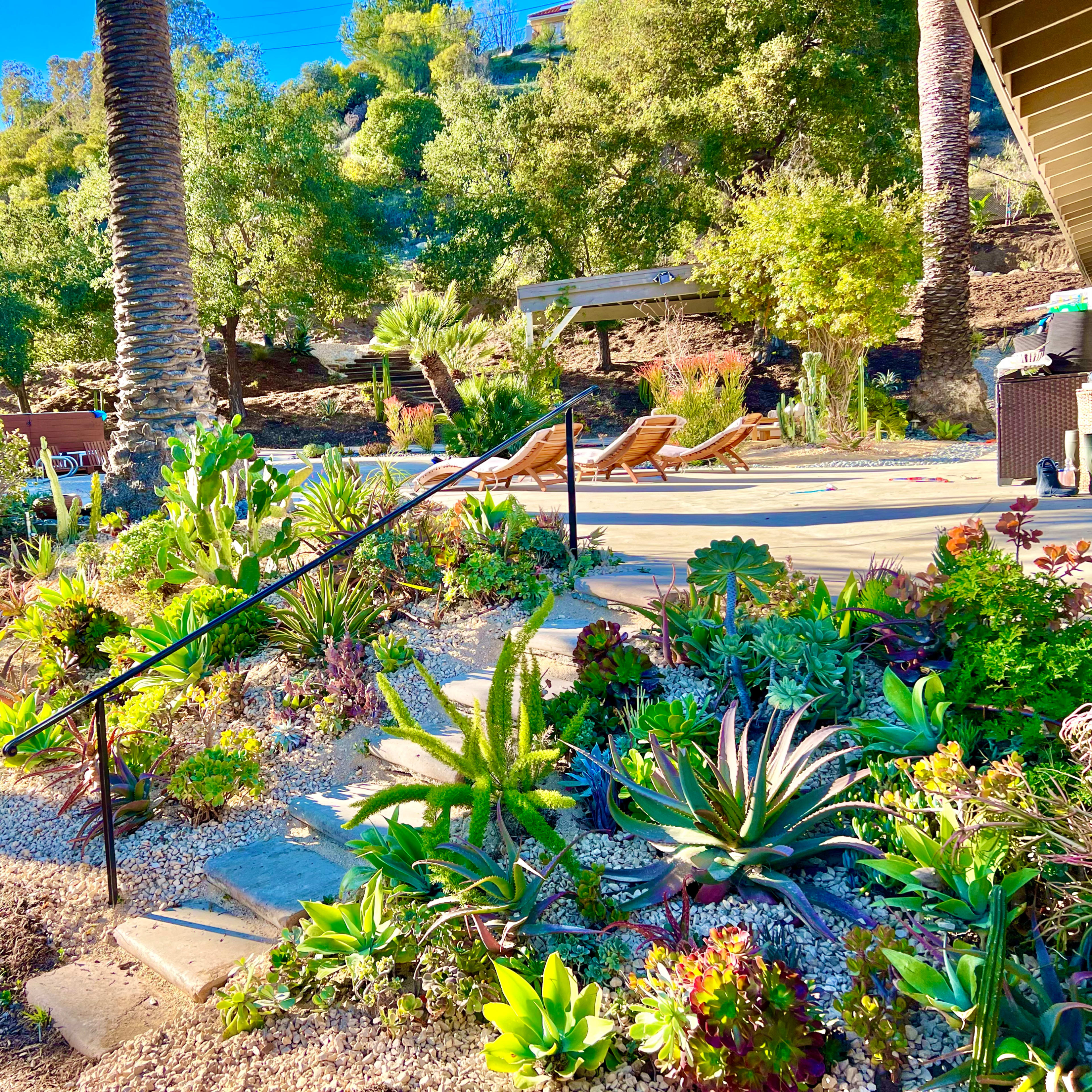 The scene features a landscaped garden with various succulents and a pathway leading to a wooden deck with lounge chairs and a gazebo in the background.