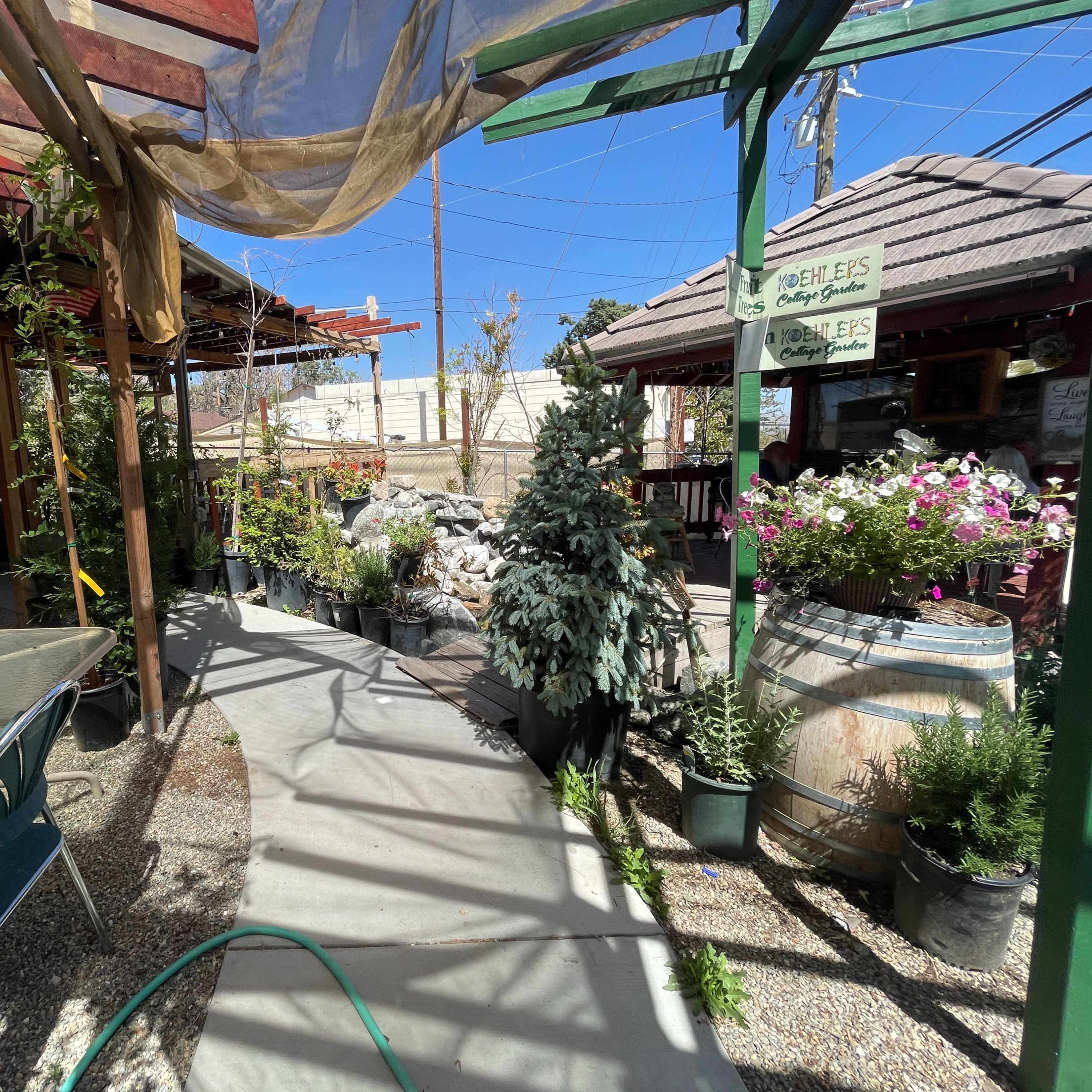 A pathway in a garden center with potted plants on either side and shaded seating areas in the background.