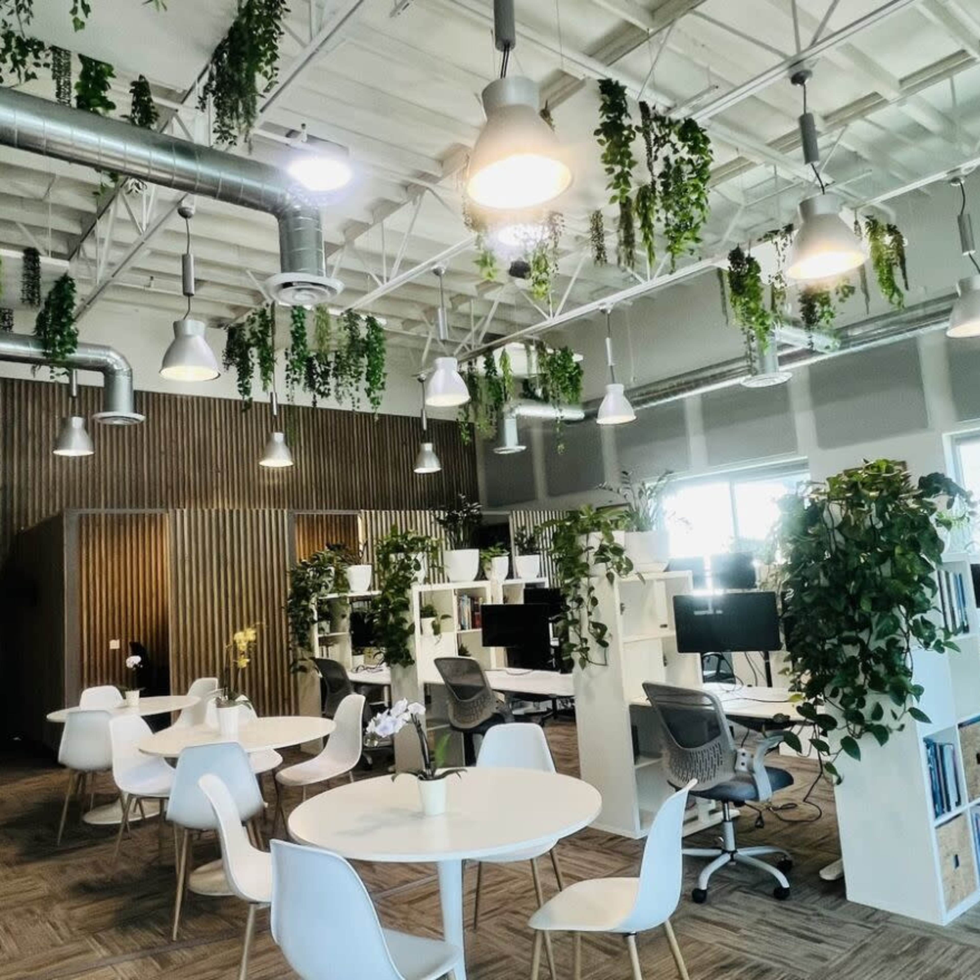 A modern office interior with white furniture, computer workstations, and greenery hanging from the ceiling.