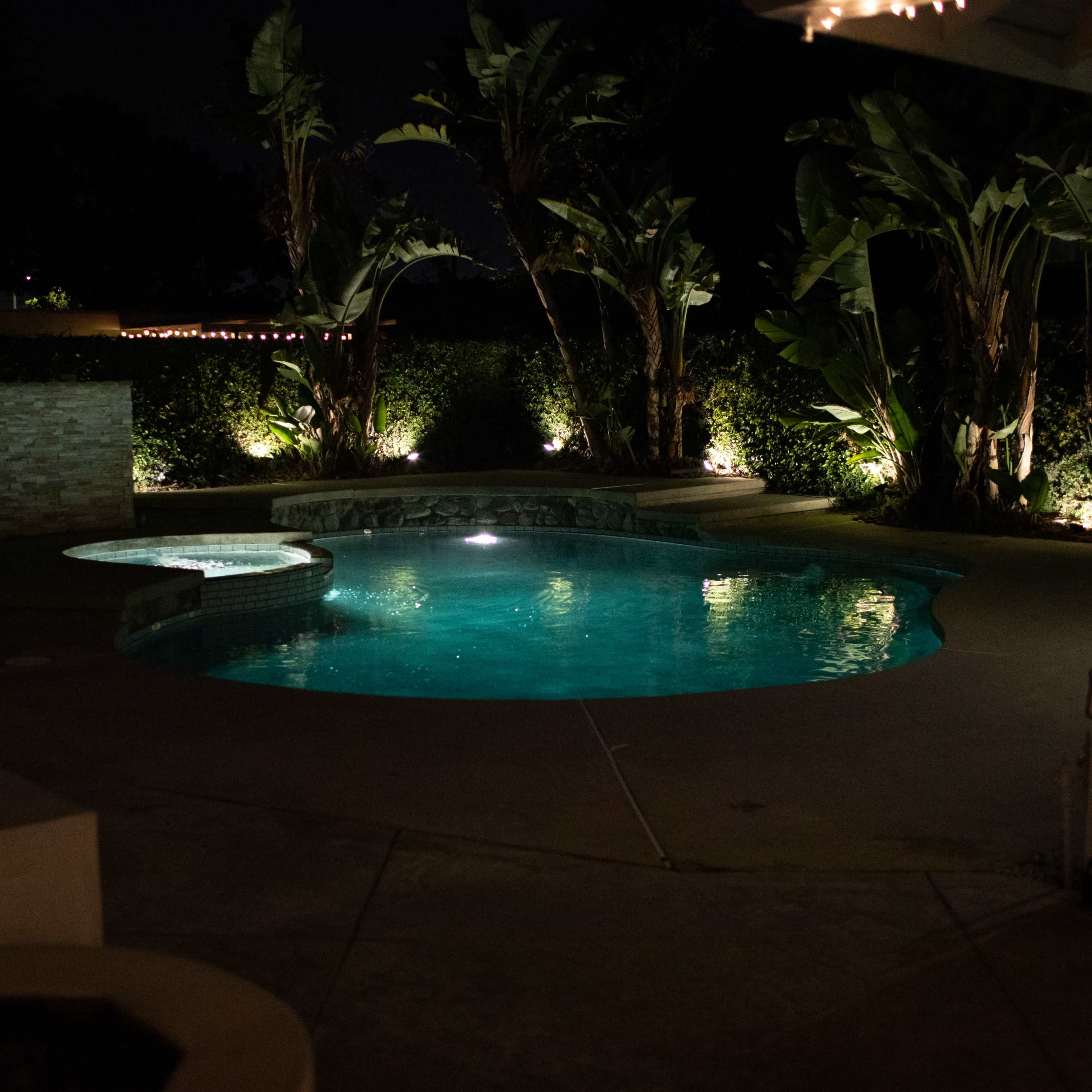 A swimming pool is illuminated at night, surrounded by tropical plants and softly lit greenery.