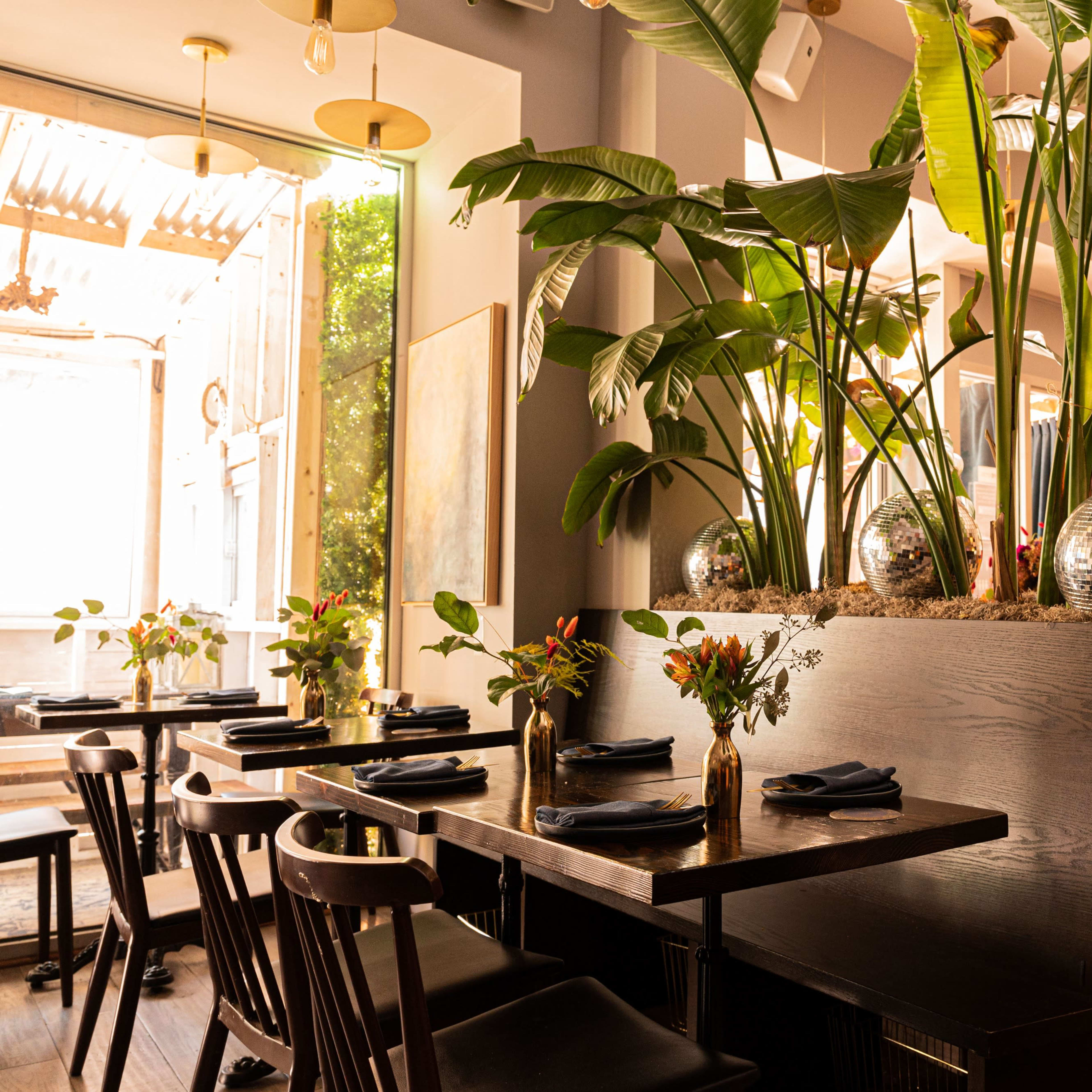 A modern restaurant interior with dark wooden tables, black chairs, and large indoor plants, including decorative disco balls placed in planter boxes.