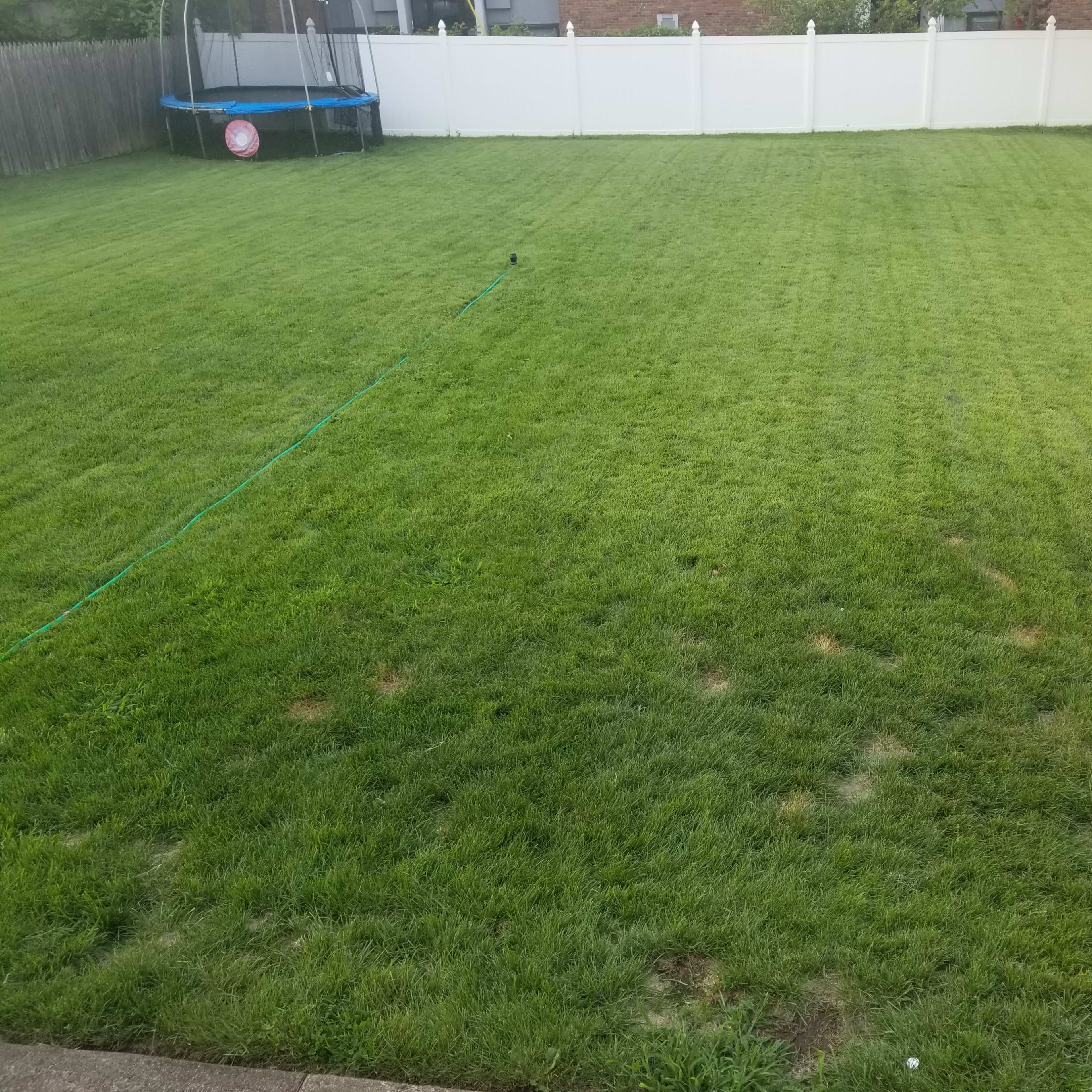 A spacious, green backyard with a trampoline in the corner and a white fence surrounding the area.