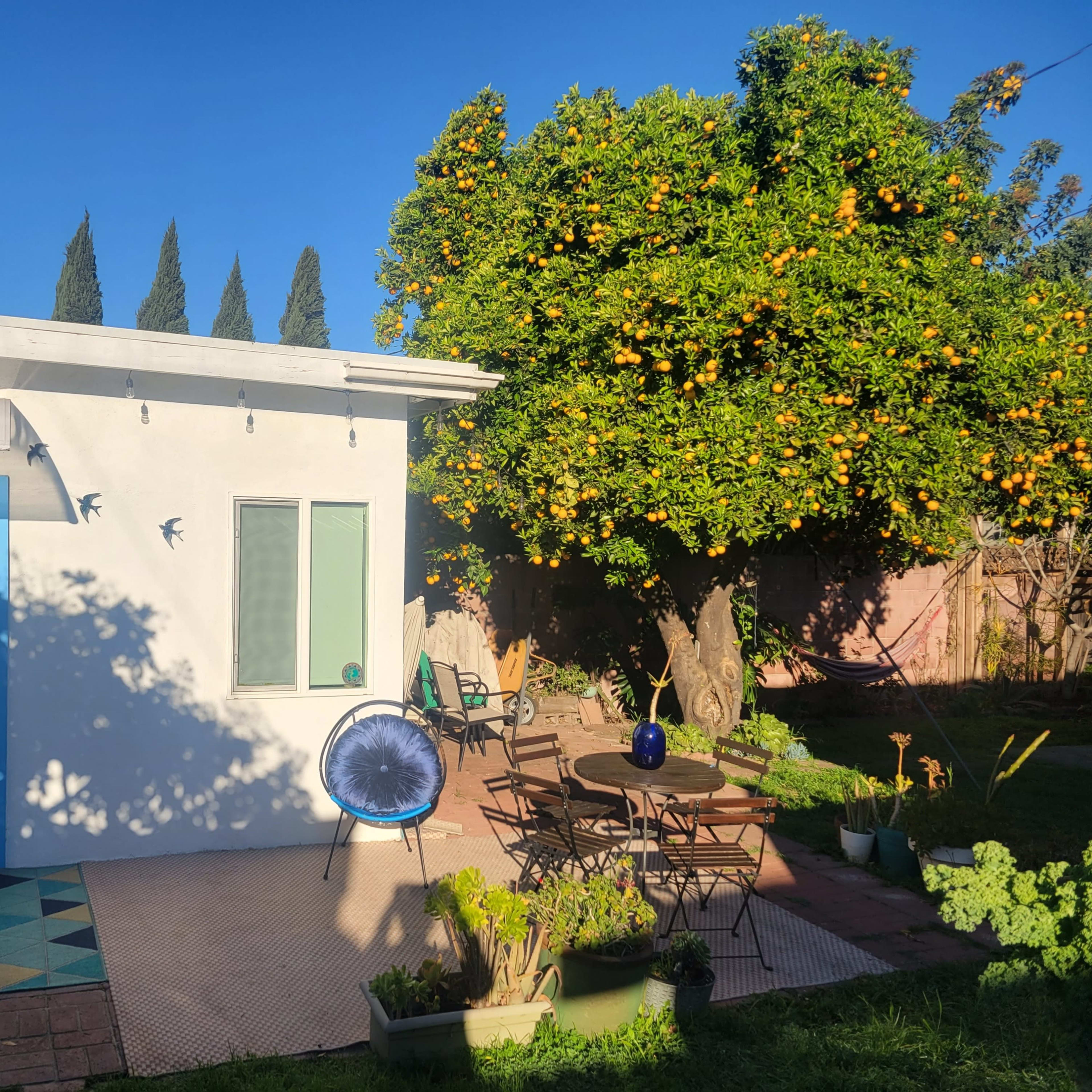 A small white building with blue accents is set in a garden featuring an orange tree, along with outdoor seating and plants.