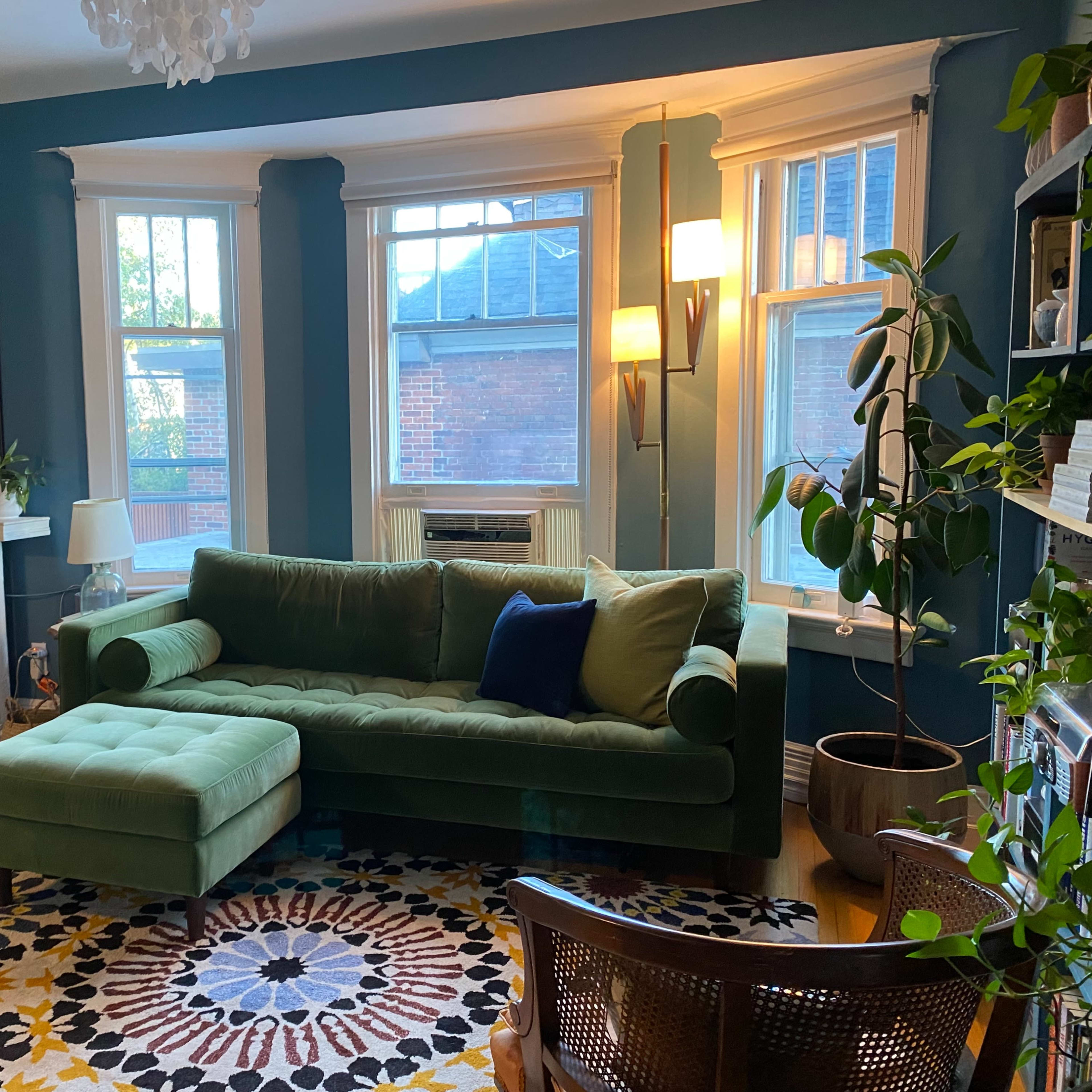 A living room featuring a green sectional sofa, a patterned area rug, and a variety of indoor plants next to large windows.
