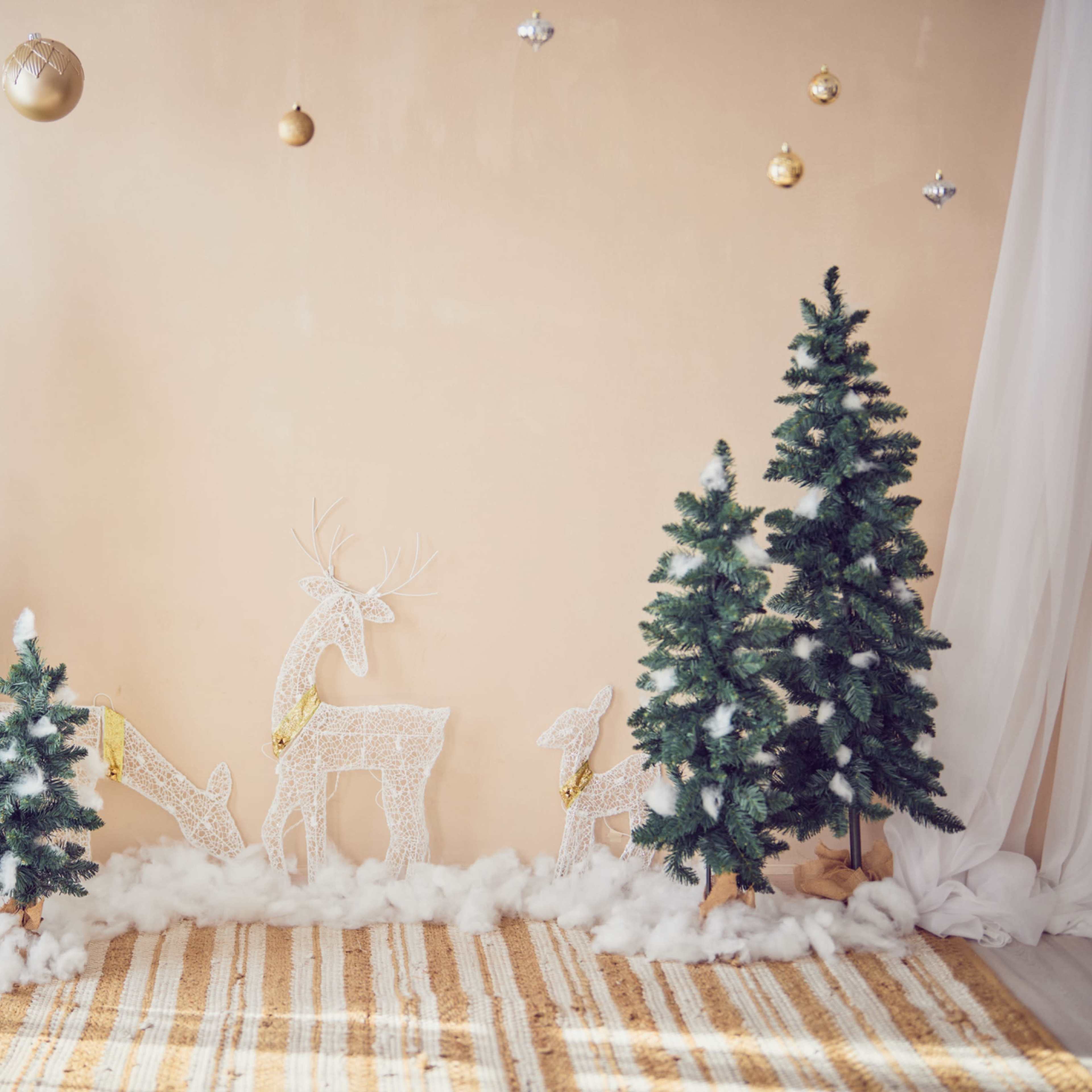 Beautiful Boho Suite with a lot of natural light and Studio style room with white backdrop Image in Winfield Township, Winfield, IL