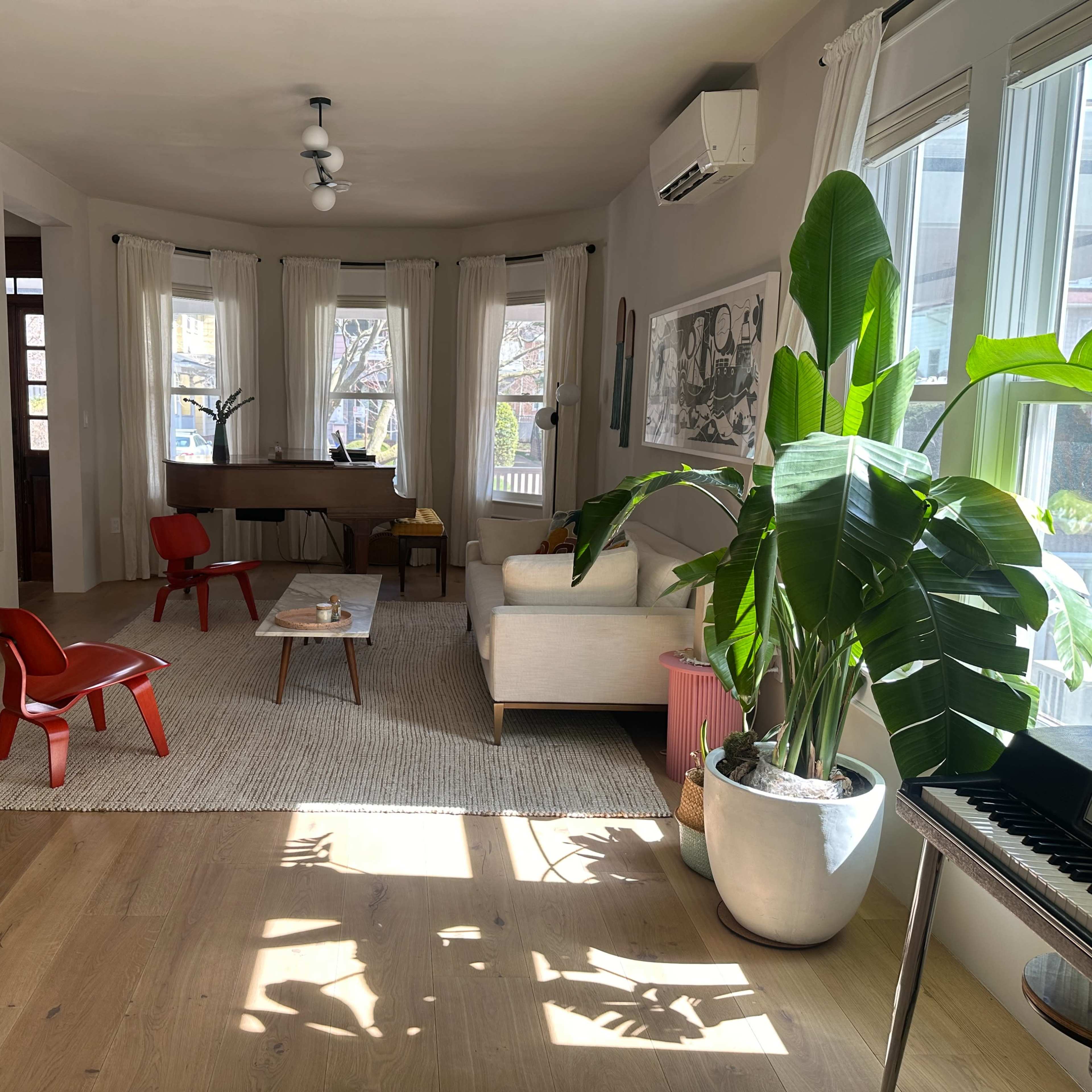 Beautiful Suburban Home In Brooklyn Image in Flatbush, Brooklyn, NY