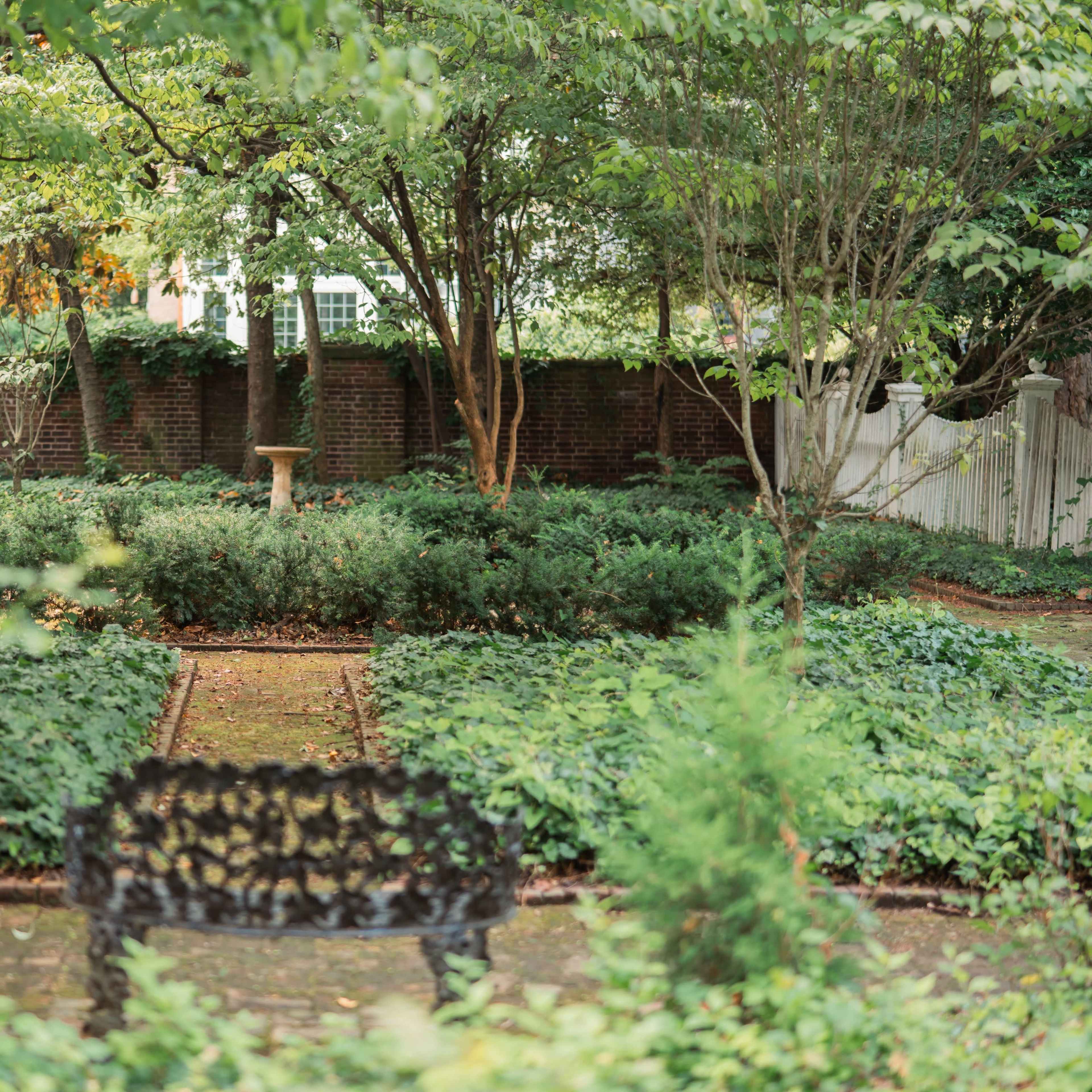 A calm garden scene features a stone birdbath surrounded by neatly arranged greenery and a wrought iron bench in the foreground.