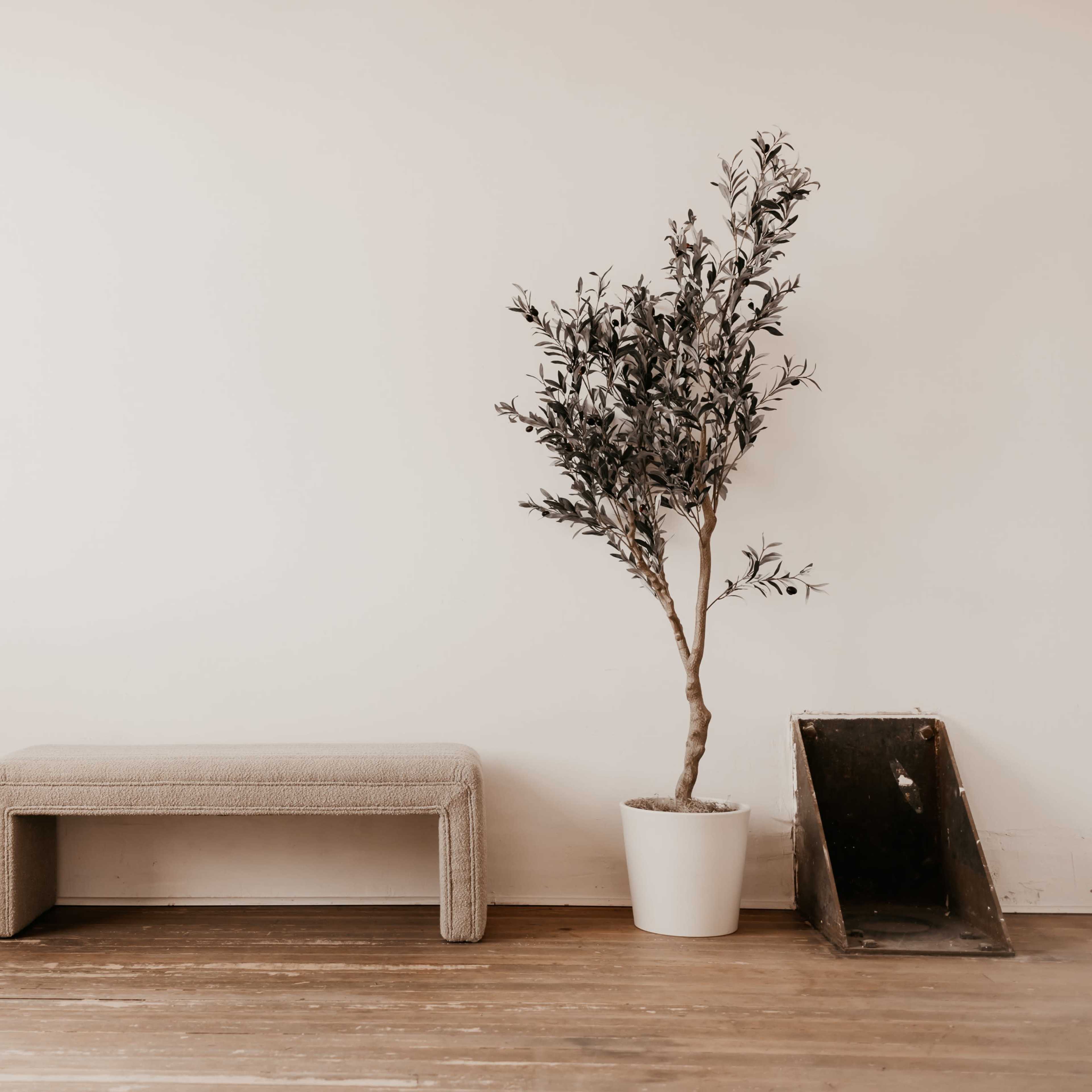A bench next to a potted tree on a wooden floor, with a brick wall and a plain white wall in the background.