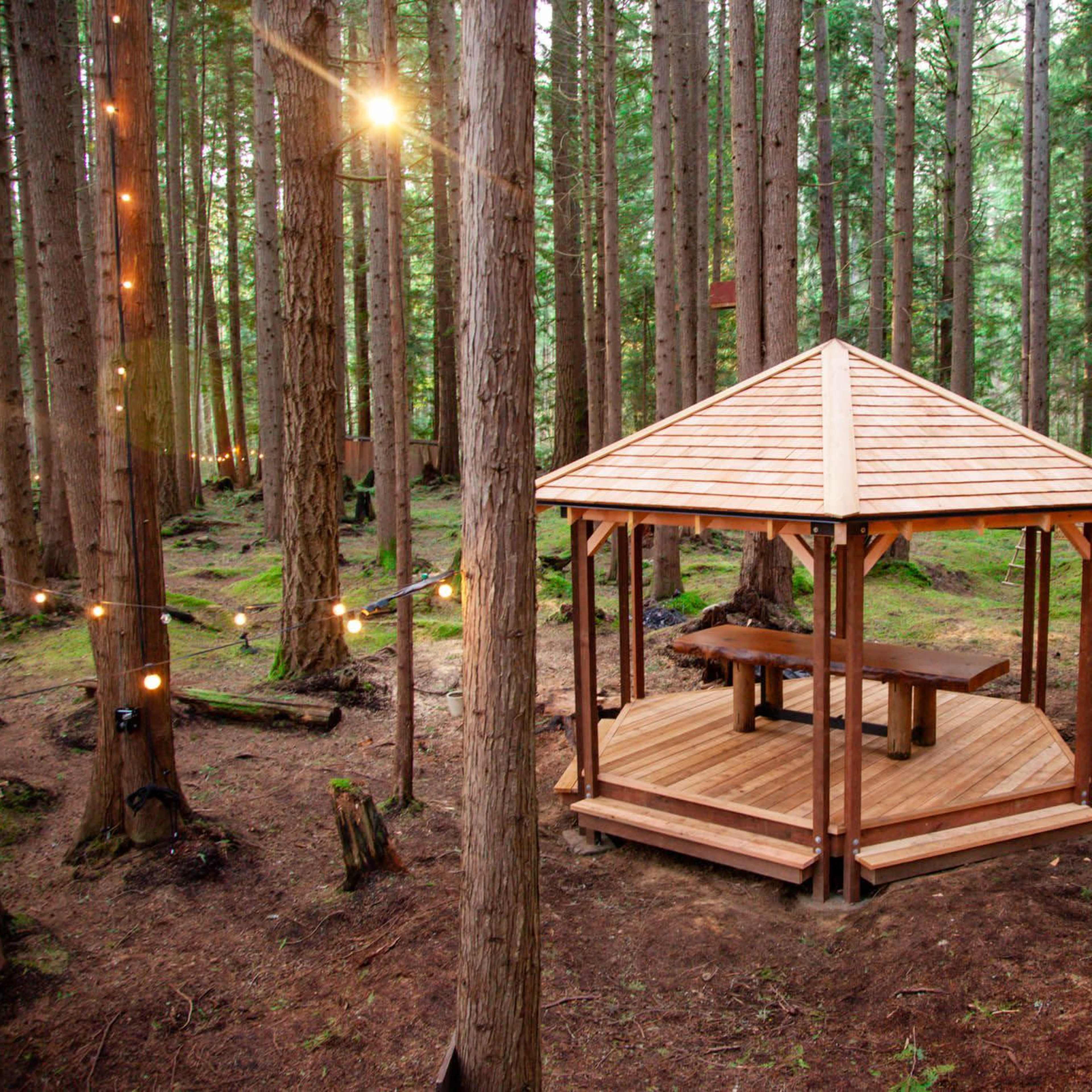A wooden gazebo with a table is surrounded by tall trees in a forest setting.
