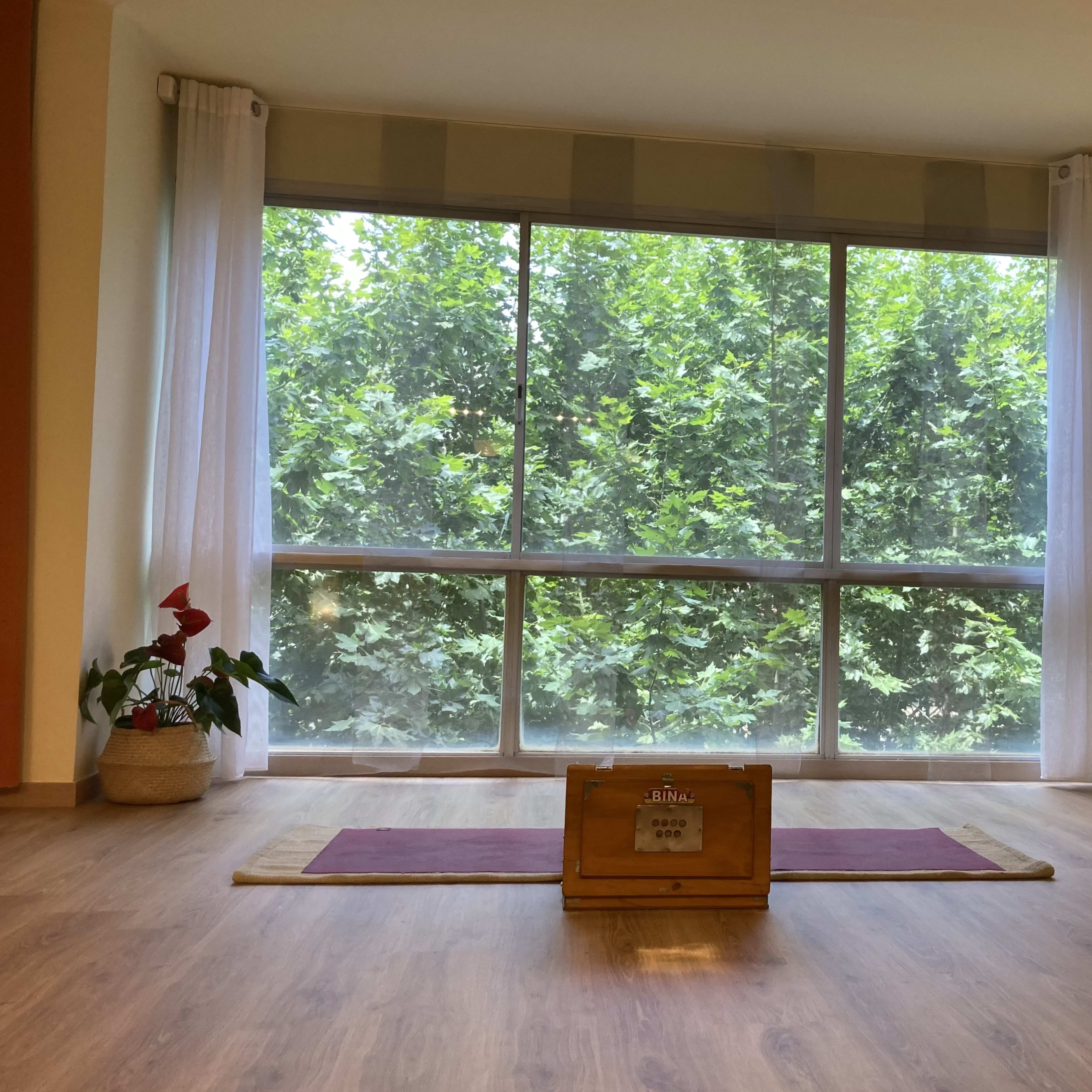 A wooden box sits on a red mat in front of a large window displaying a view of green foliage.