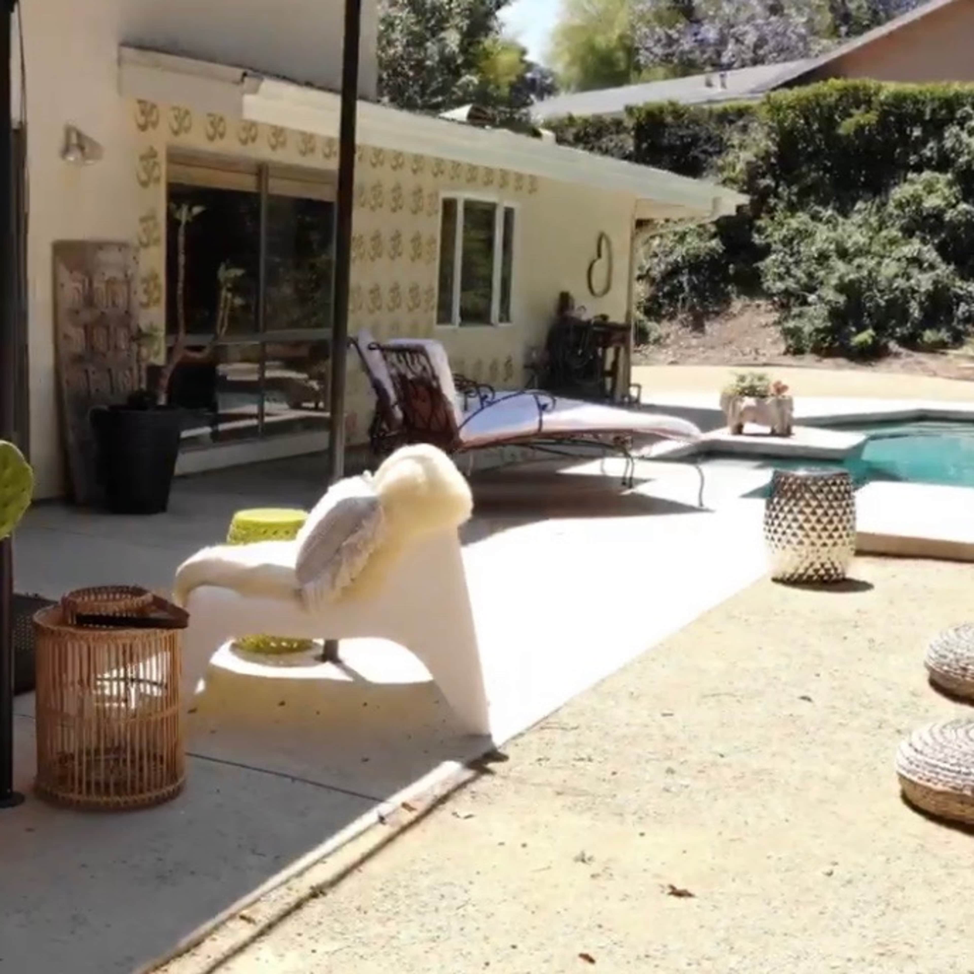 A modern outdoor patio area with a swimming pool, featuring a large cactus, a lounge chair, and various decorative items.